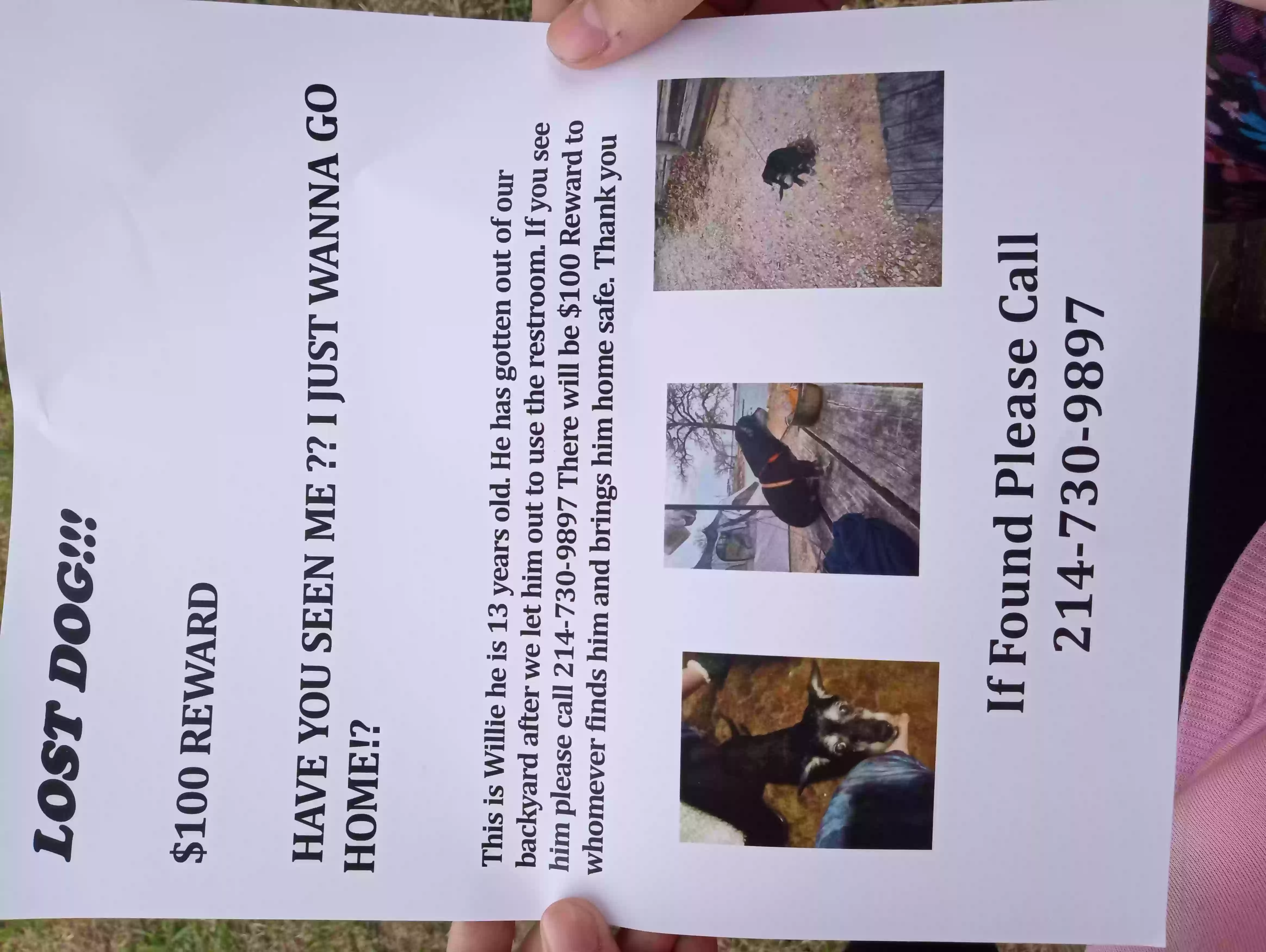 Lost dog in Ardmore, OK, 73401