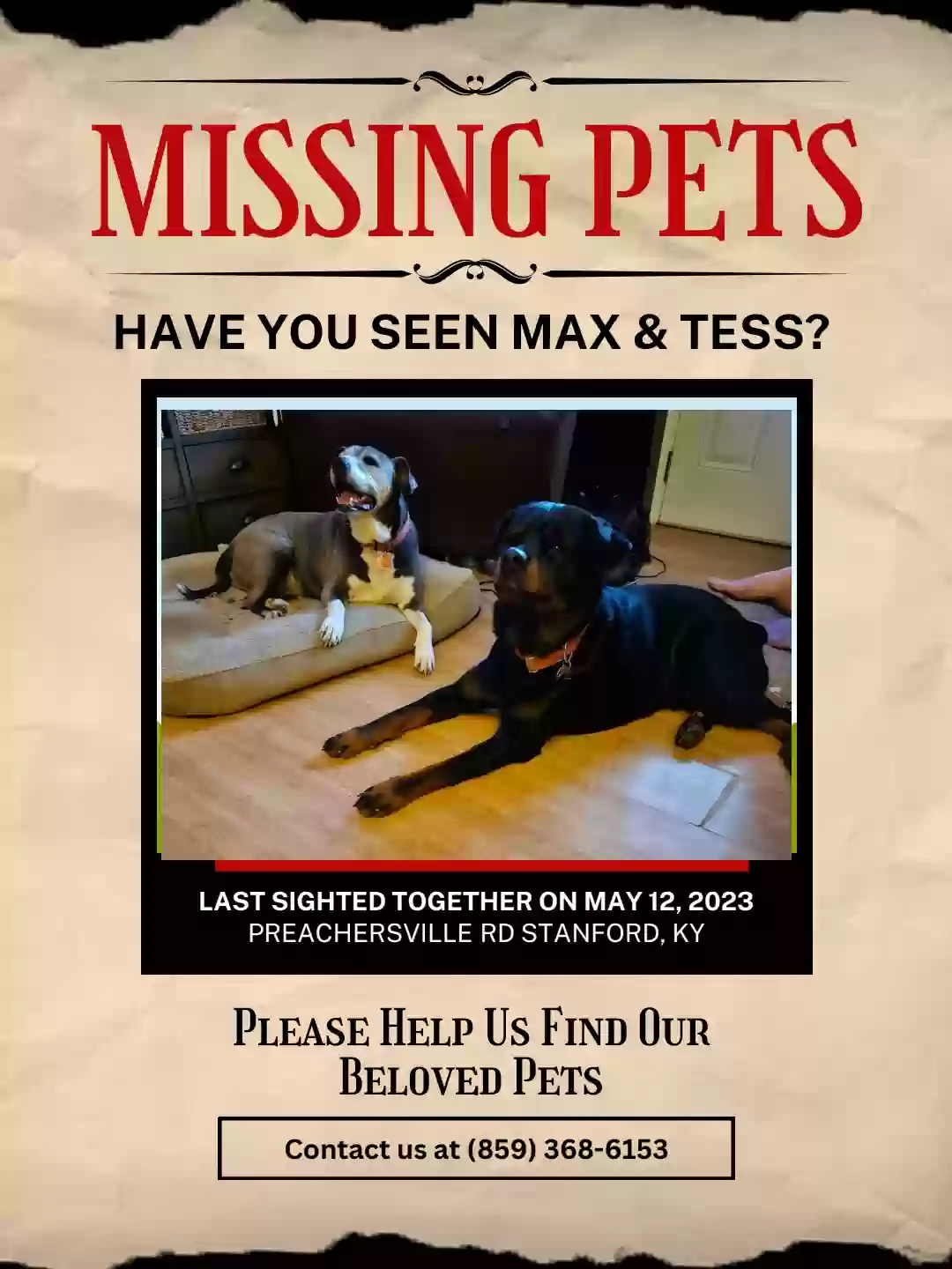 Lost dog in Stanford, KY, 40484