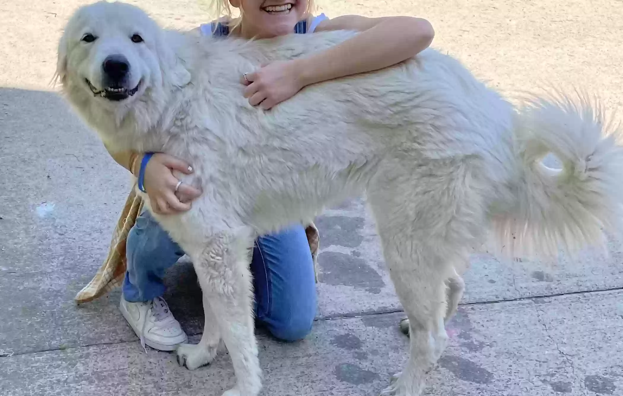 Lost dog in Weatherford, TX, 76085