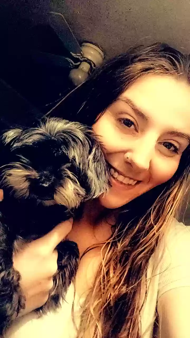Lost dog in Cleveland, OH, 44102