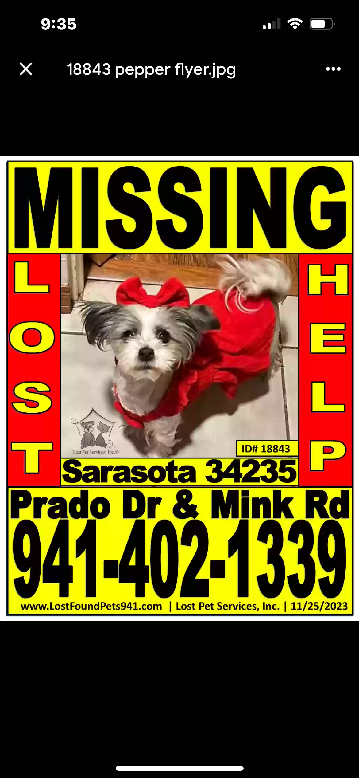 Lost dog in Sarasota, FL, 34235