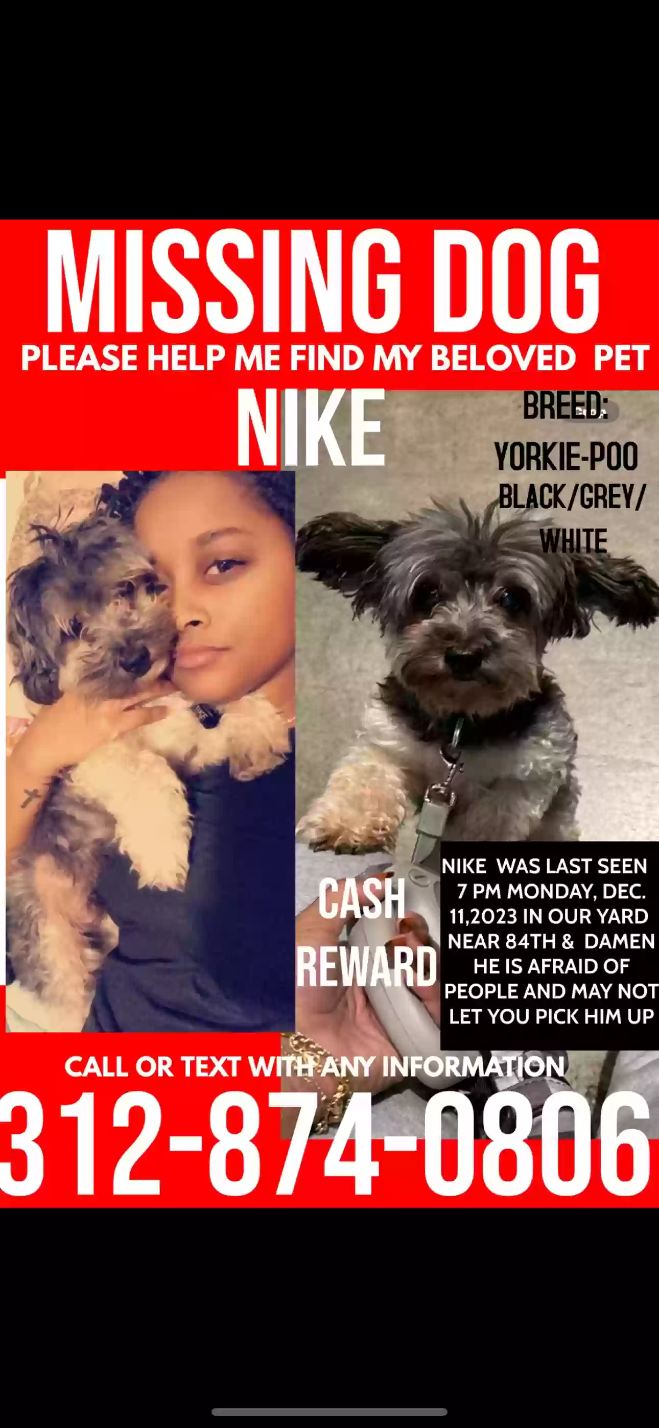 Lost dog in Chicago, IL, 60620