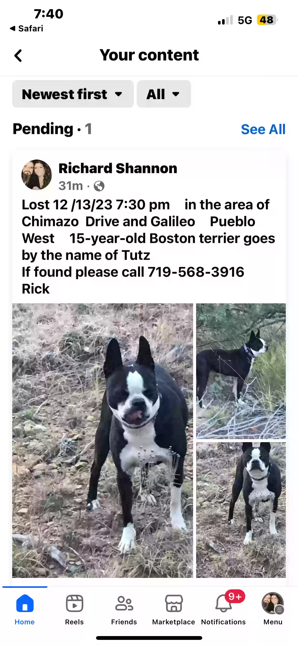 Lost dog in Pueblo, CO, 81007