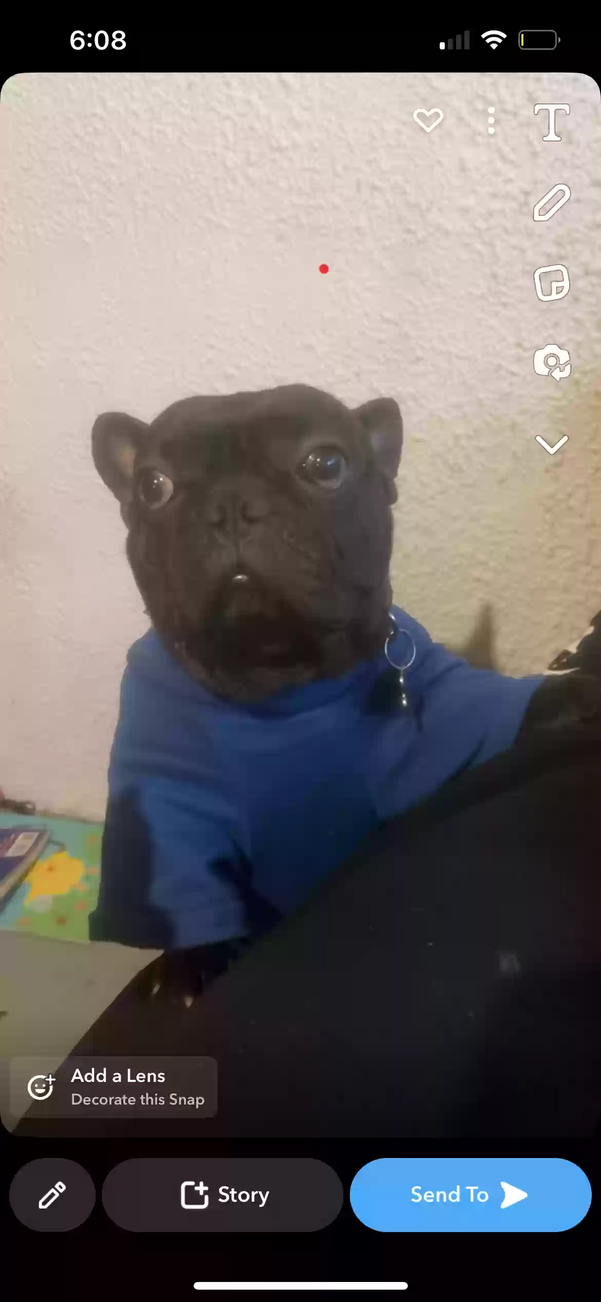 Lost dog in Pontiac, MI, 48340