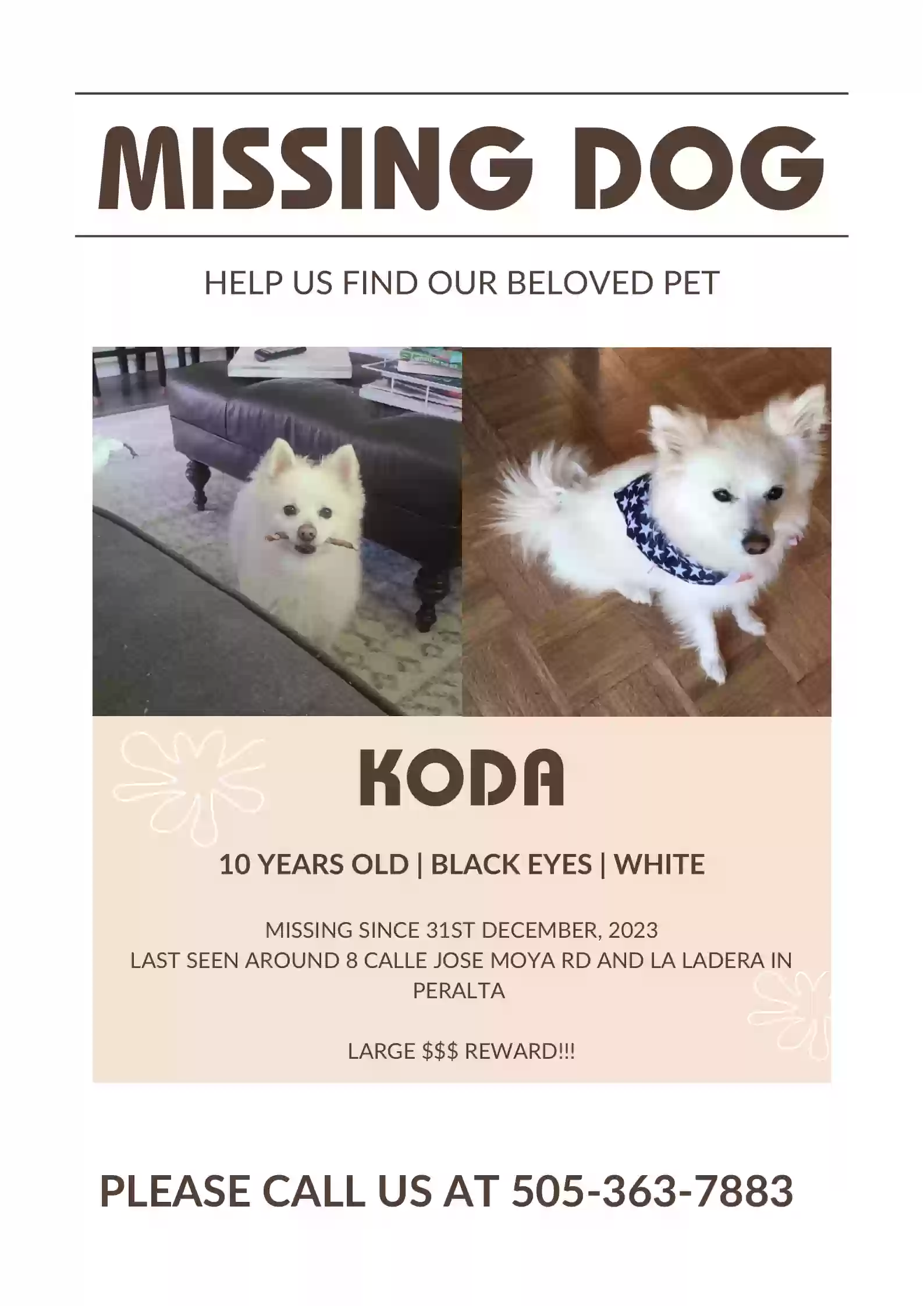 Lost dog in Peralta, NM, 87042