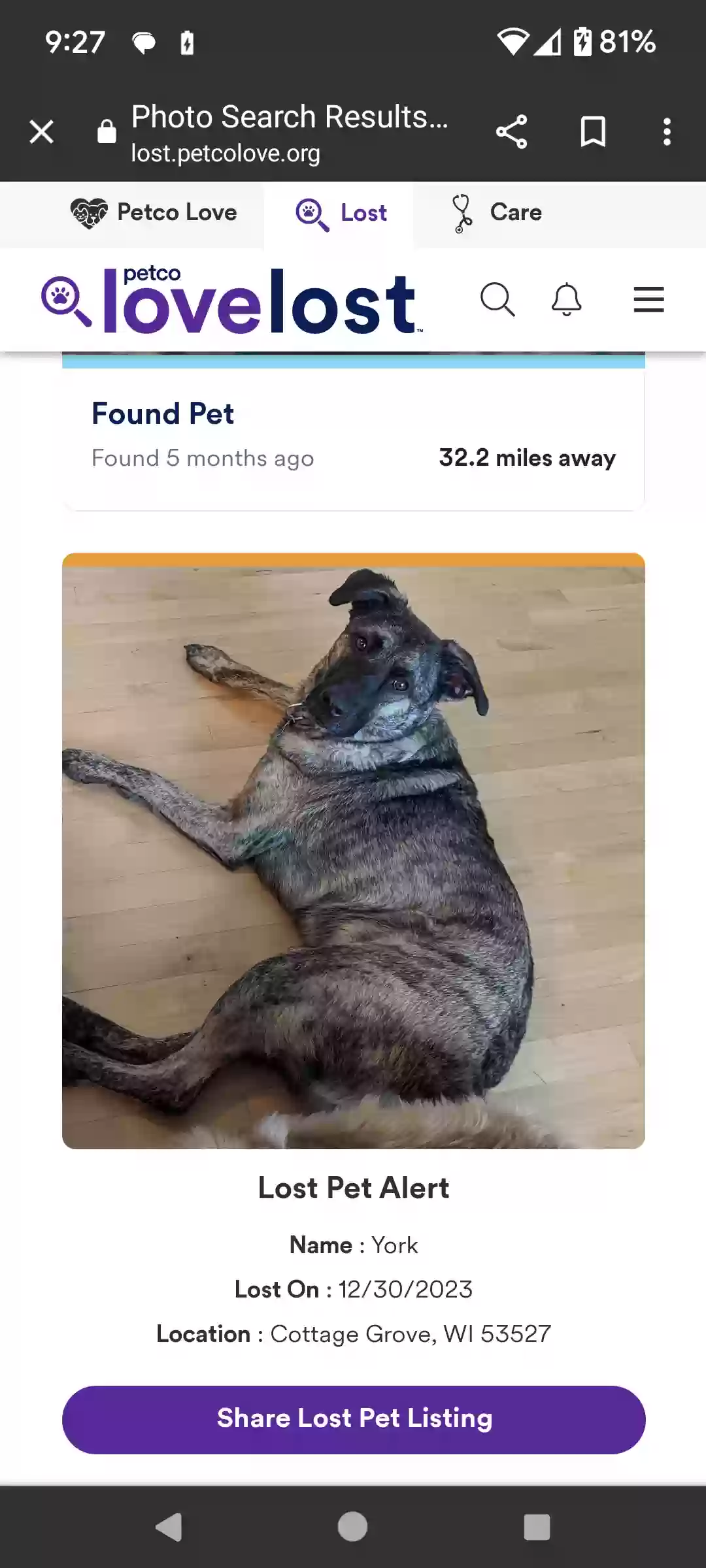Lost dog in Cottage Grove, WI, 53527