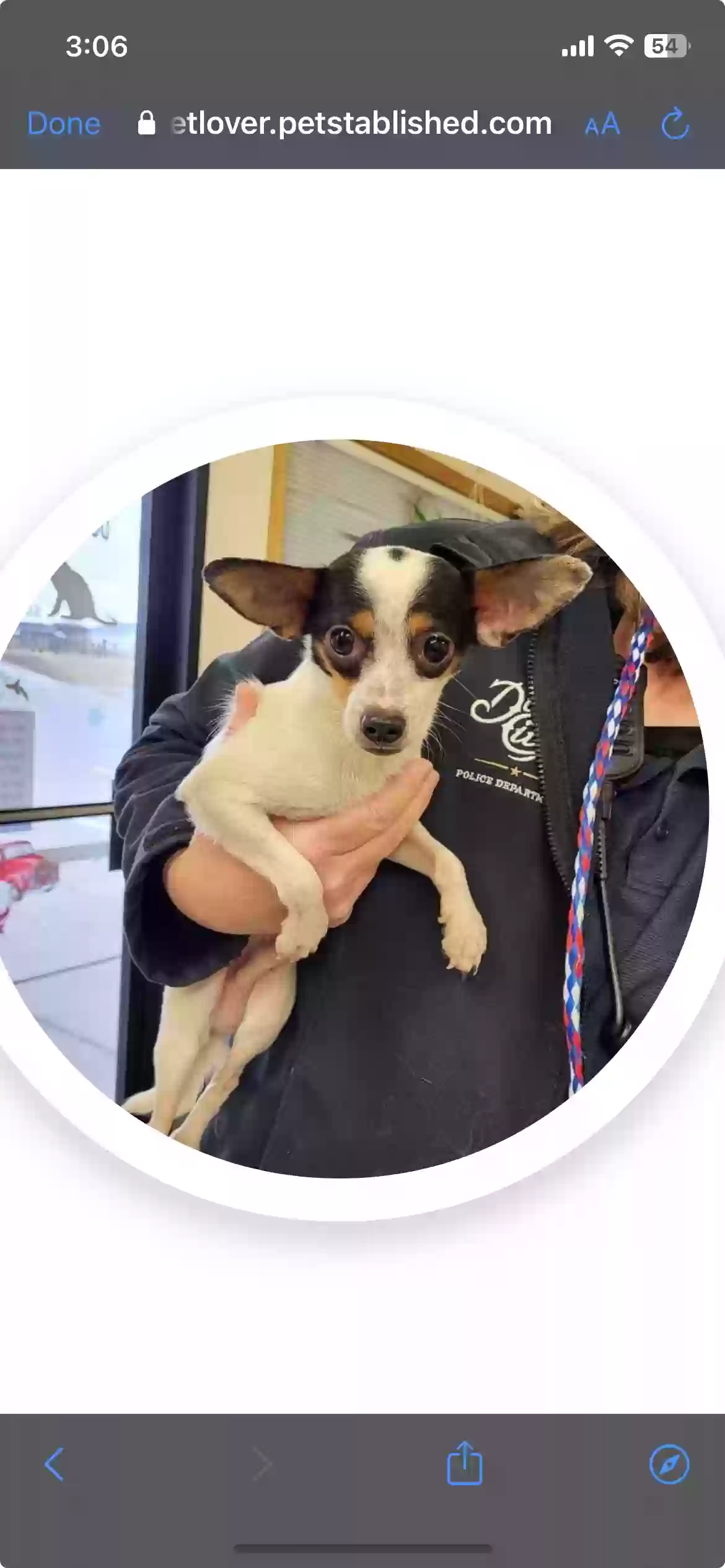 Lost dog in Aurora, CO, 80013