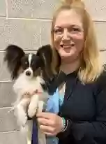 Lost dog in Midlothian, VA, 23112