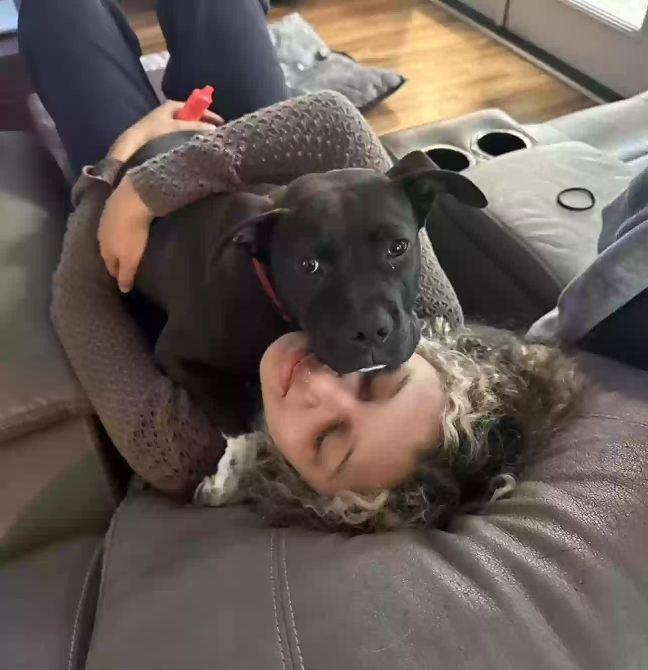 Lost dog in Charleston, SC, 29414