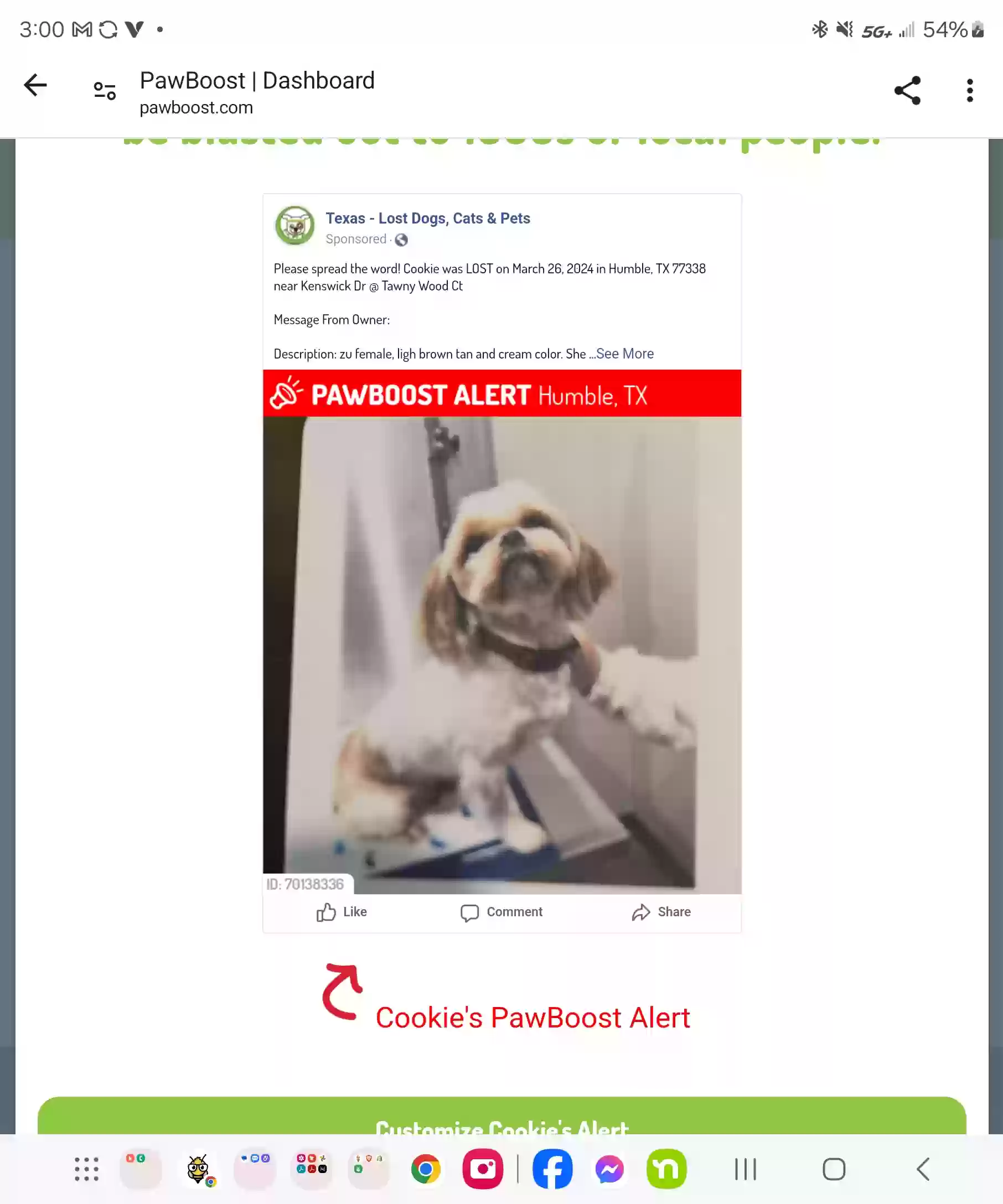 Lost dog in Humble, TX, 77338
