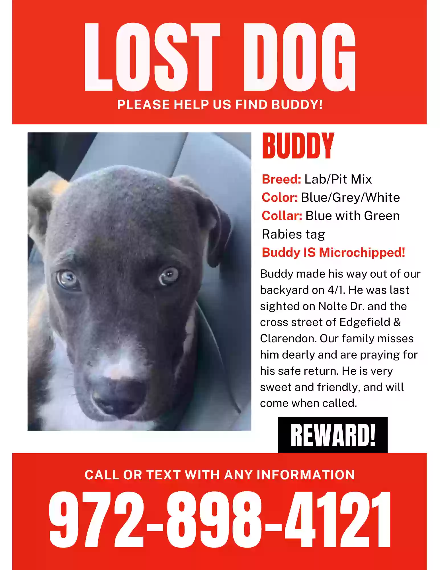Lost dog in Dallas, TX, 75208