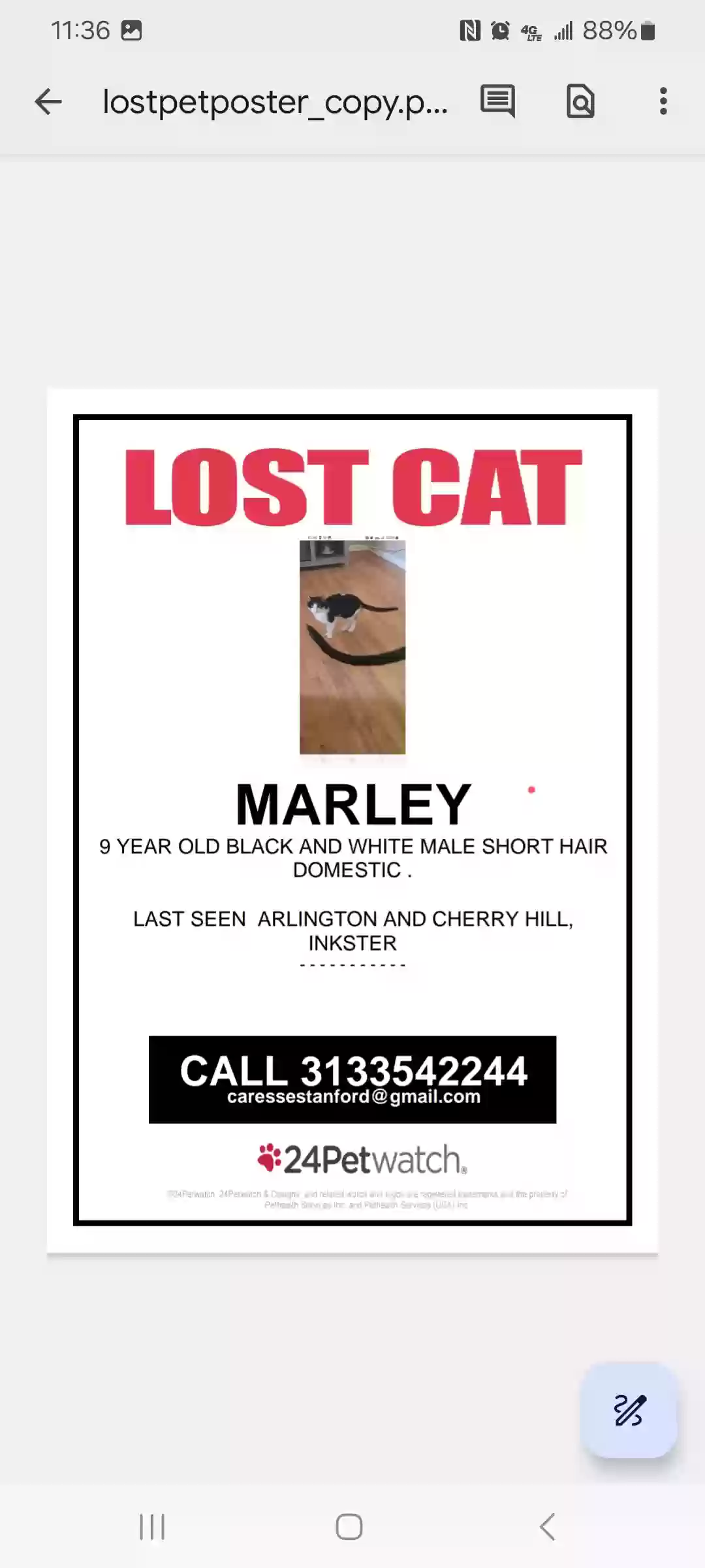 Lost cat in Inkster, MI, 48141