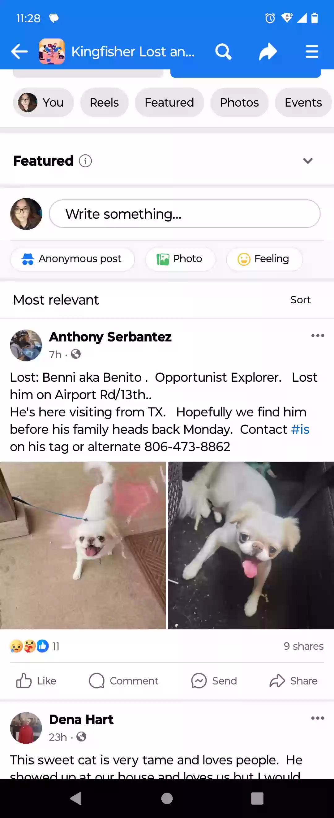 Lost dog in Kingfisher, OK, 73750
