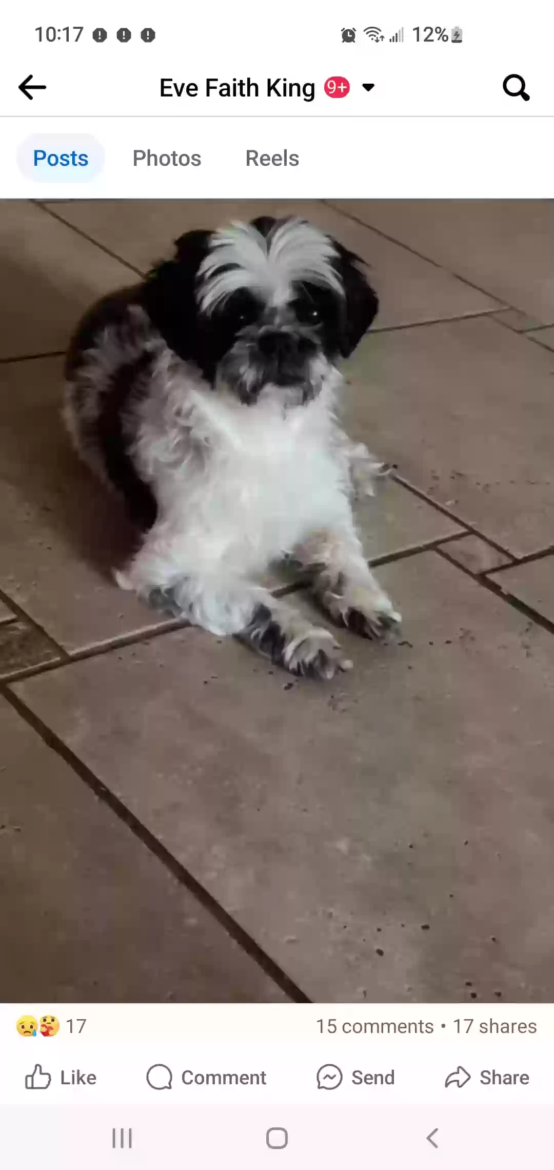 Lost dog in Yukon, OK, 73099
