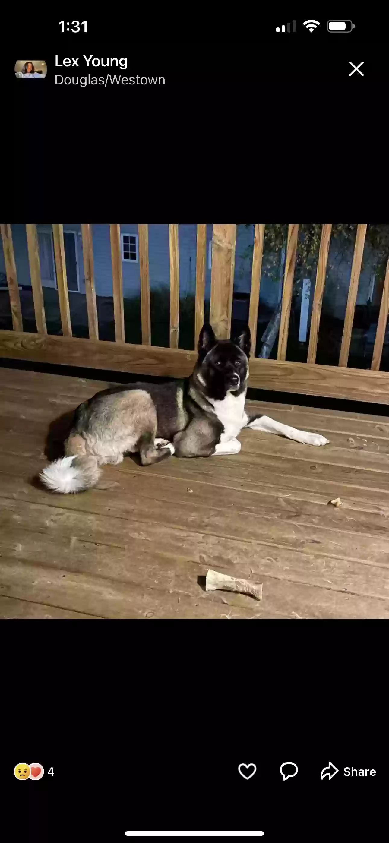 Lost dog in Urbandale, IA, 50323