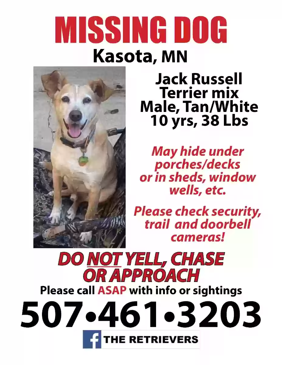 Lost dog in Kasota, MN, 56050