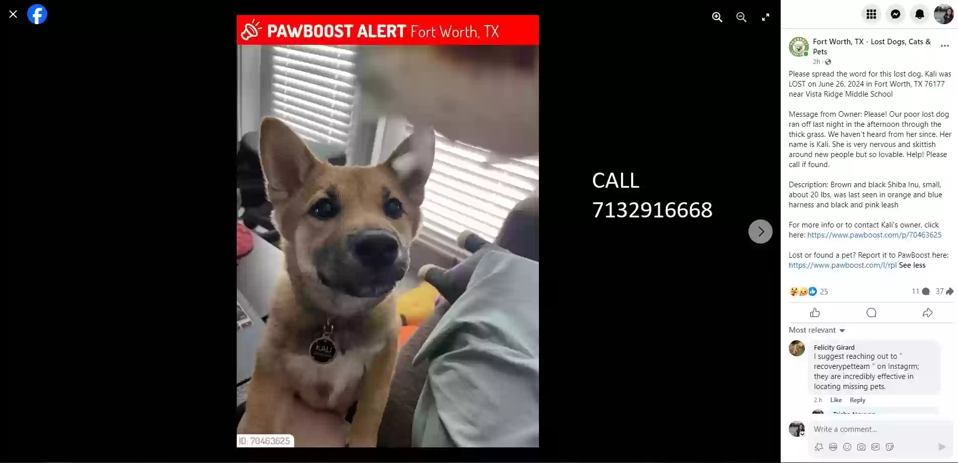 Lost dog in Fort Worth, TX, 76177