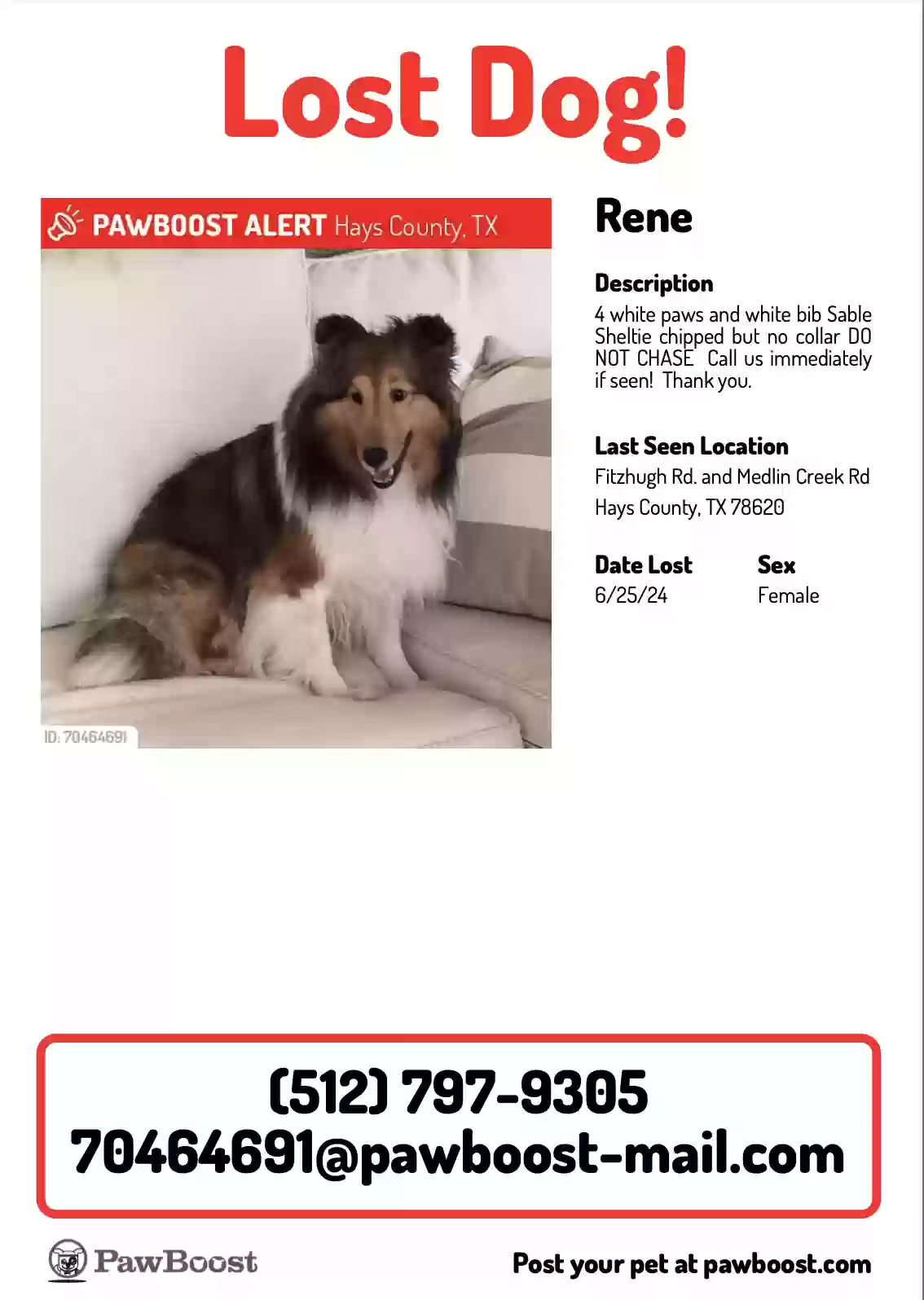 Lost dog in Dripping Springs, TX, 78620