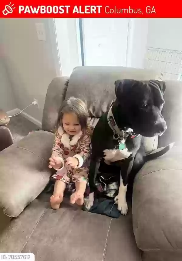 Lost dog in Columbus, GA, 31904