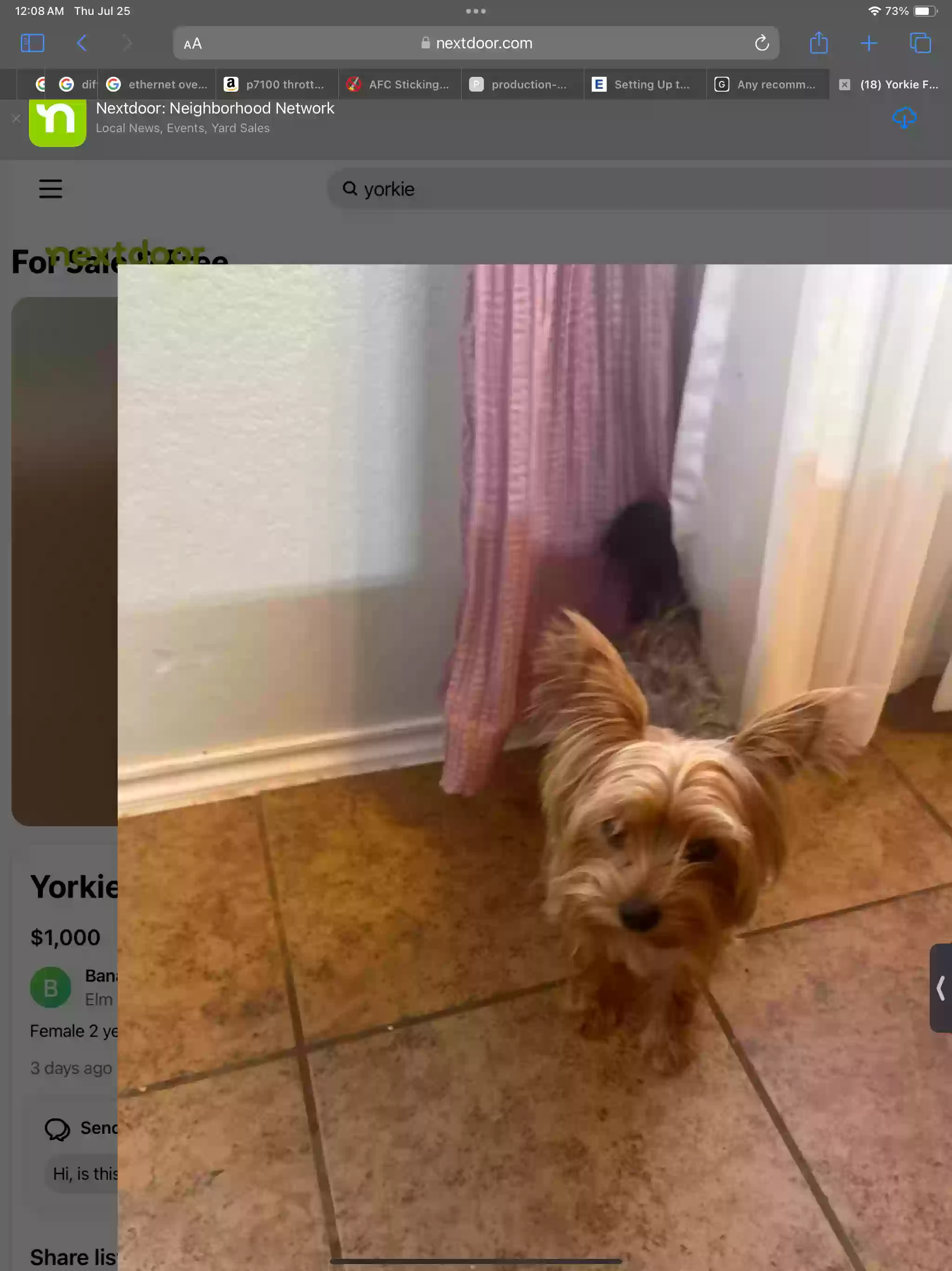 Lost dog in Elgin, TX, 78621
