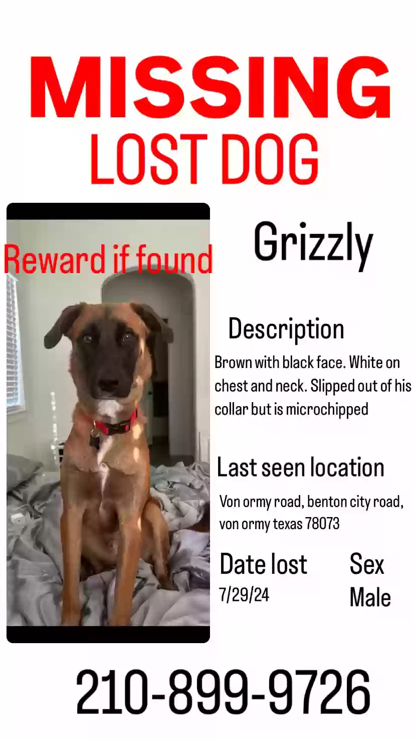Lost dog in Von Ormy, TX, 78073