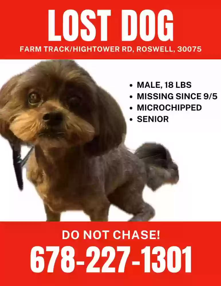 Lost dog in Roswell, GA, 30075