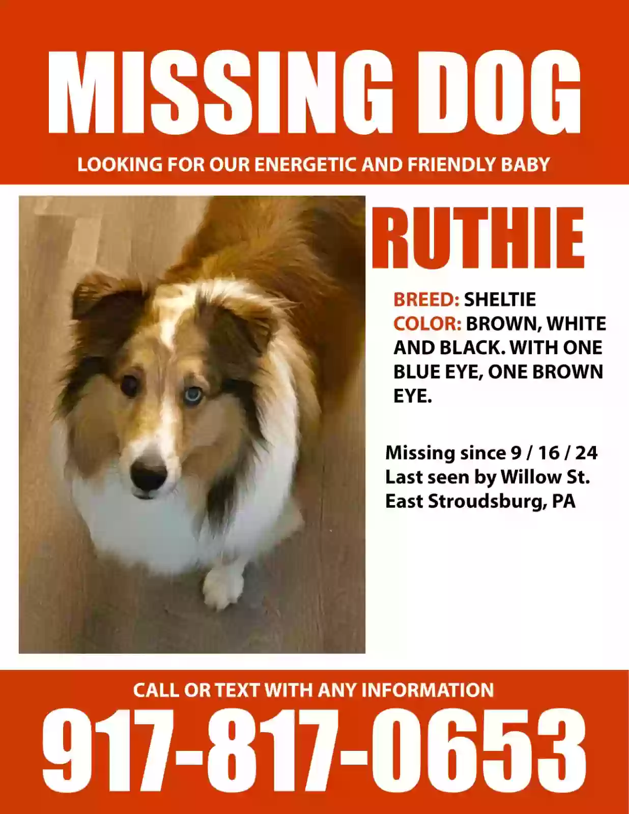 Lost dog in East Stroudsburg, PA, 18301