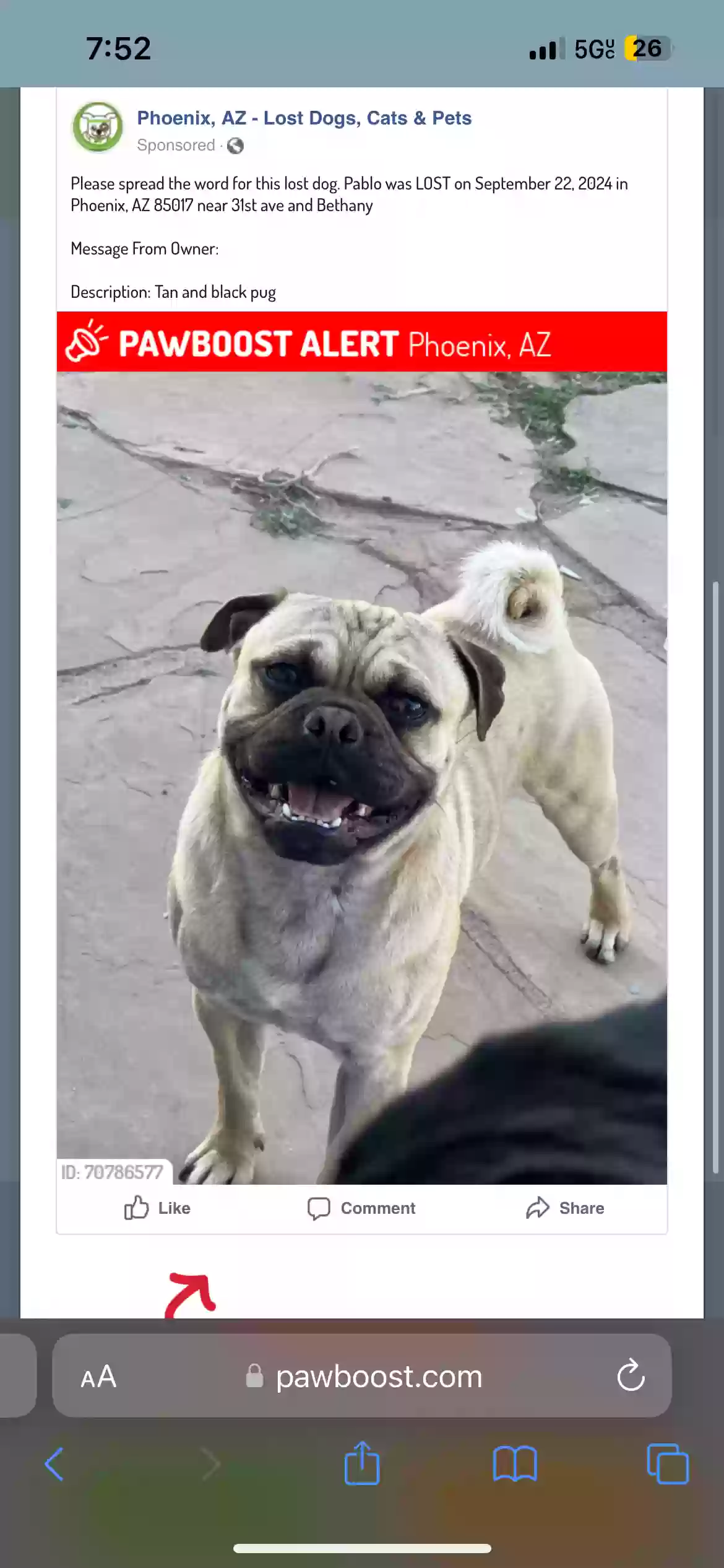Lost dog in Phoenix, AZ, 85019