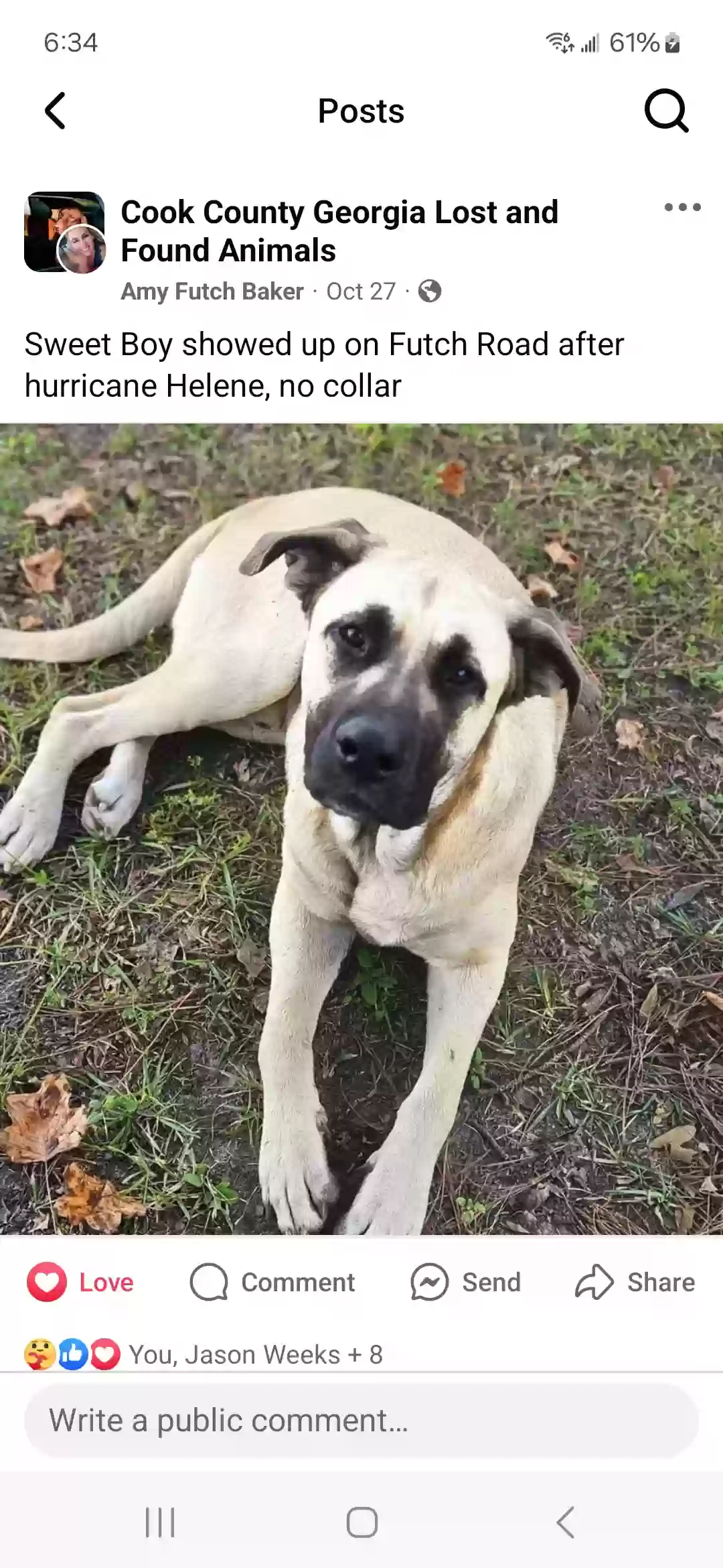 Lost dog in Adel, GA, 31620