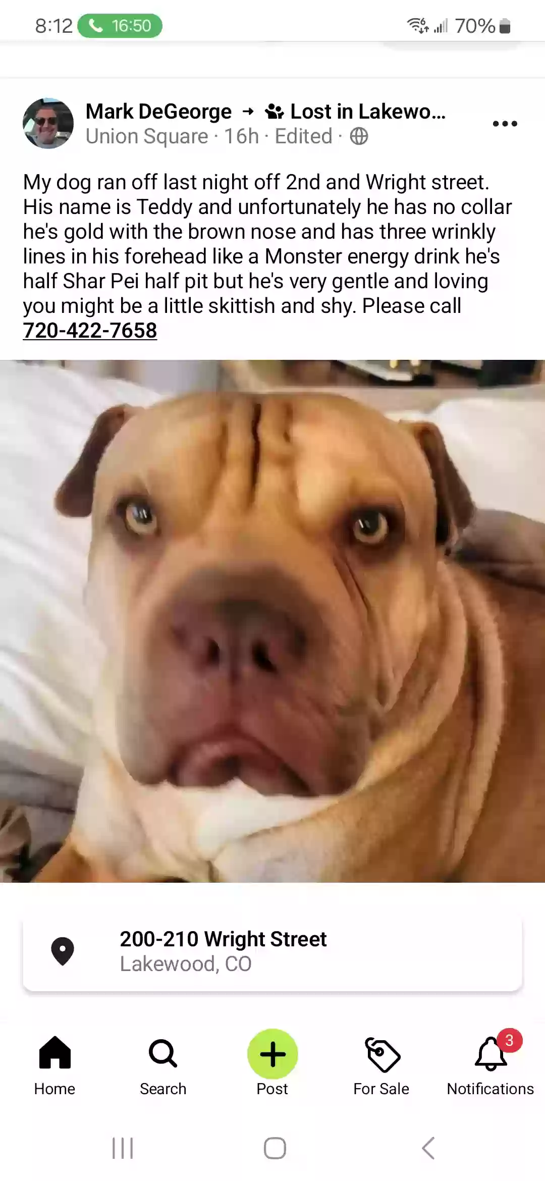 Lost dog in Denver, CO, 80228