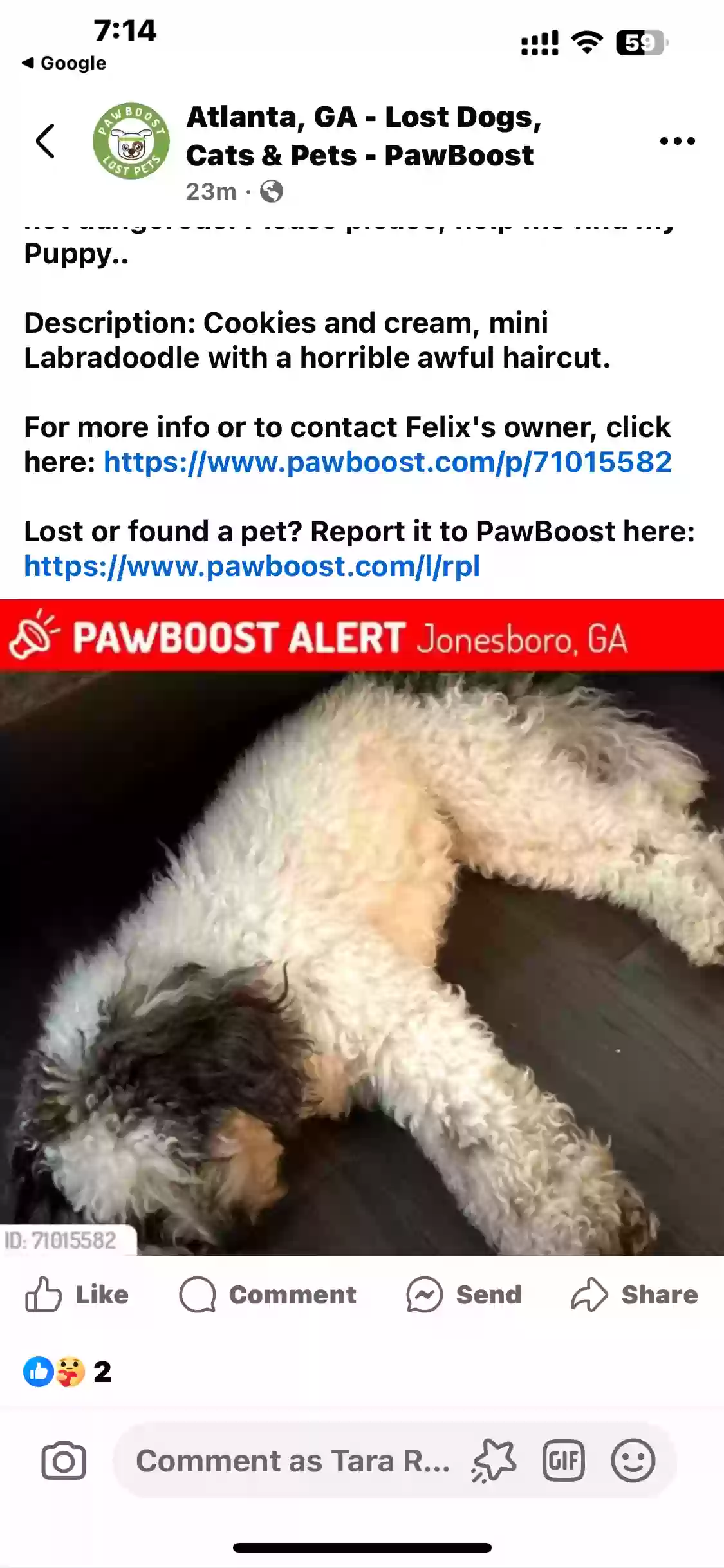 Lost dog in Jonesboro, GA, 30236