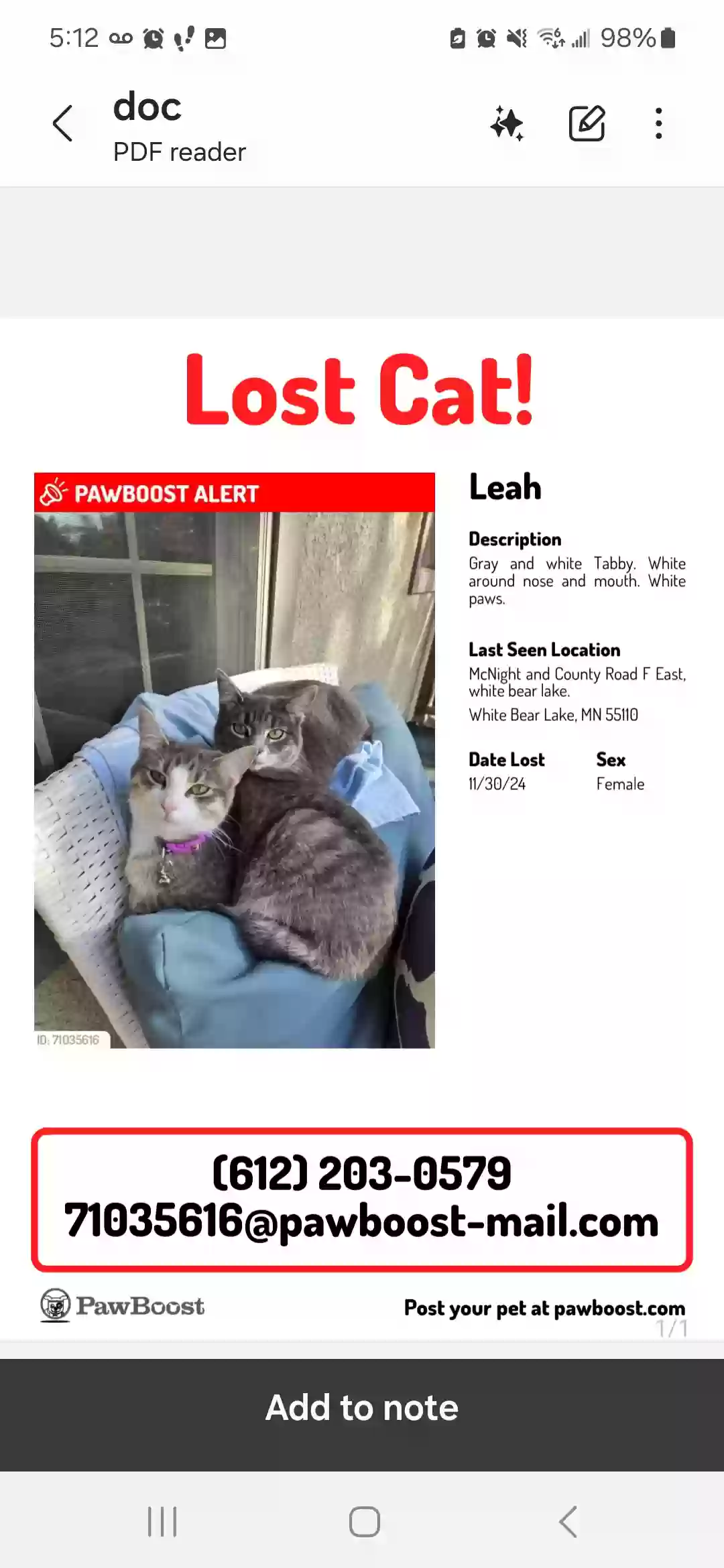 Lost cat in Saint Paul, MN, 55110
