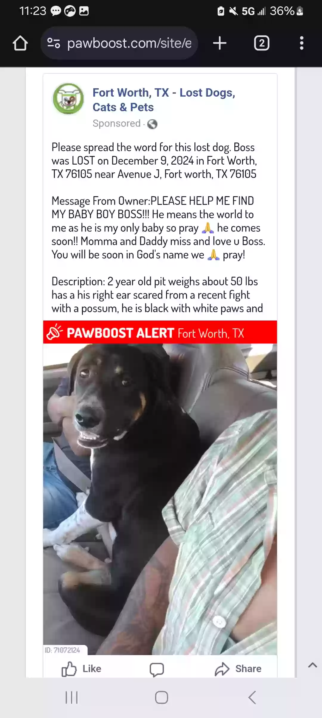 Lost dog in Fort Worth, TX, 76105