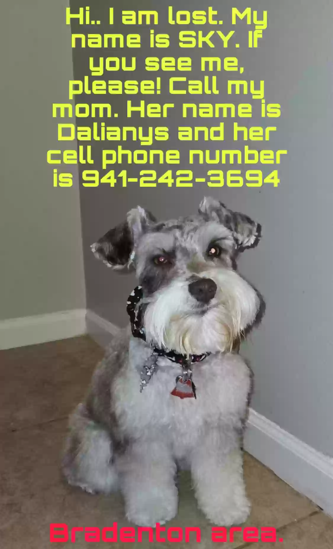 Lost dog in Bradenton, FL, 34207