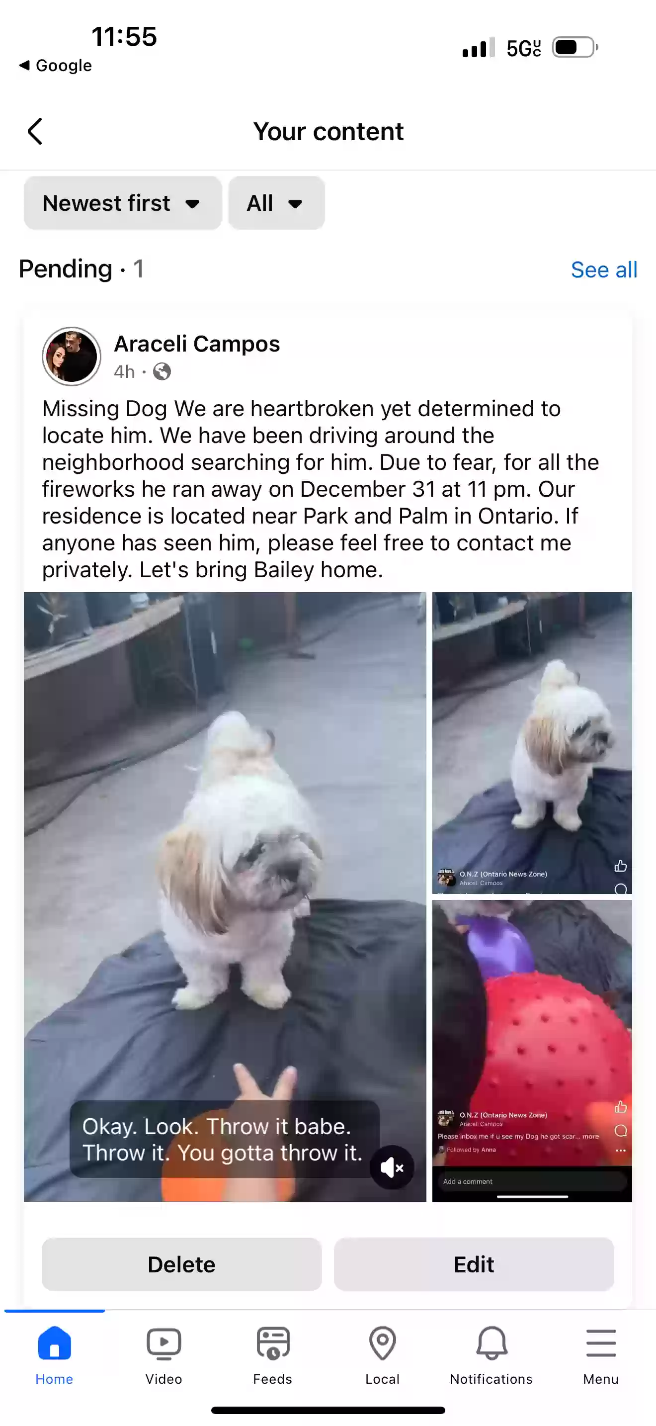Lost dog in Ontario, CA, 91762