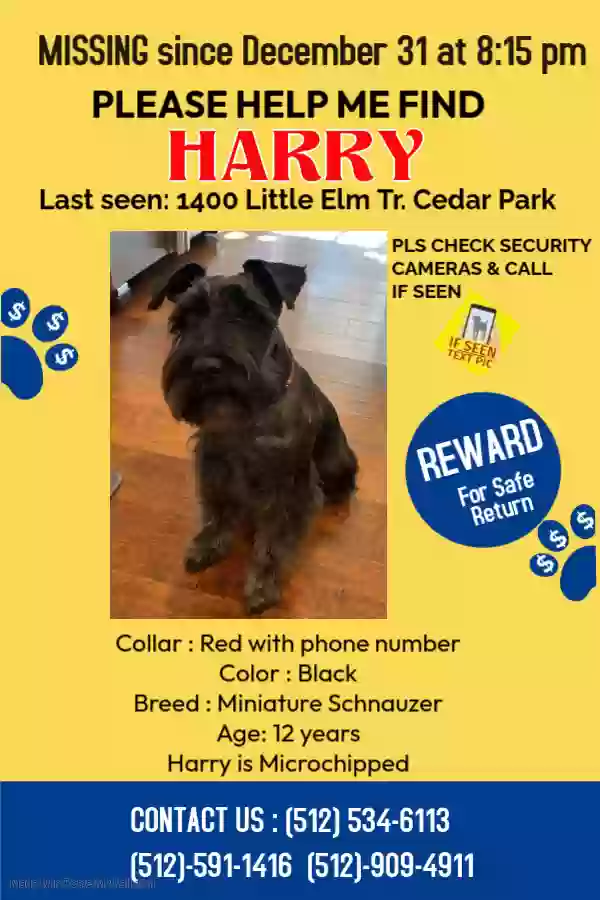 Lost dog in Cedar Park, TX, 78613