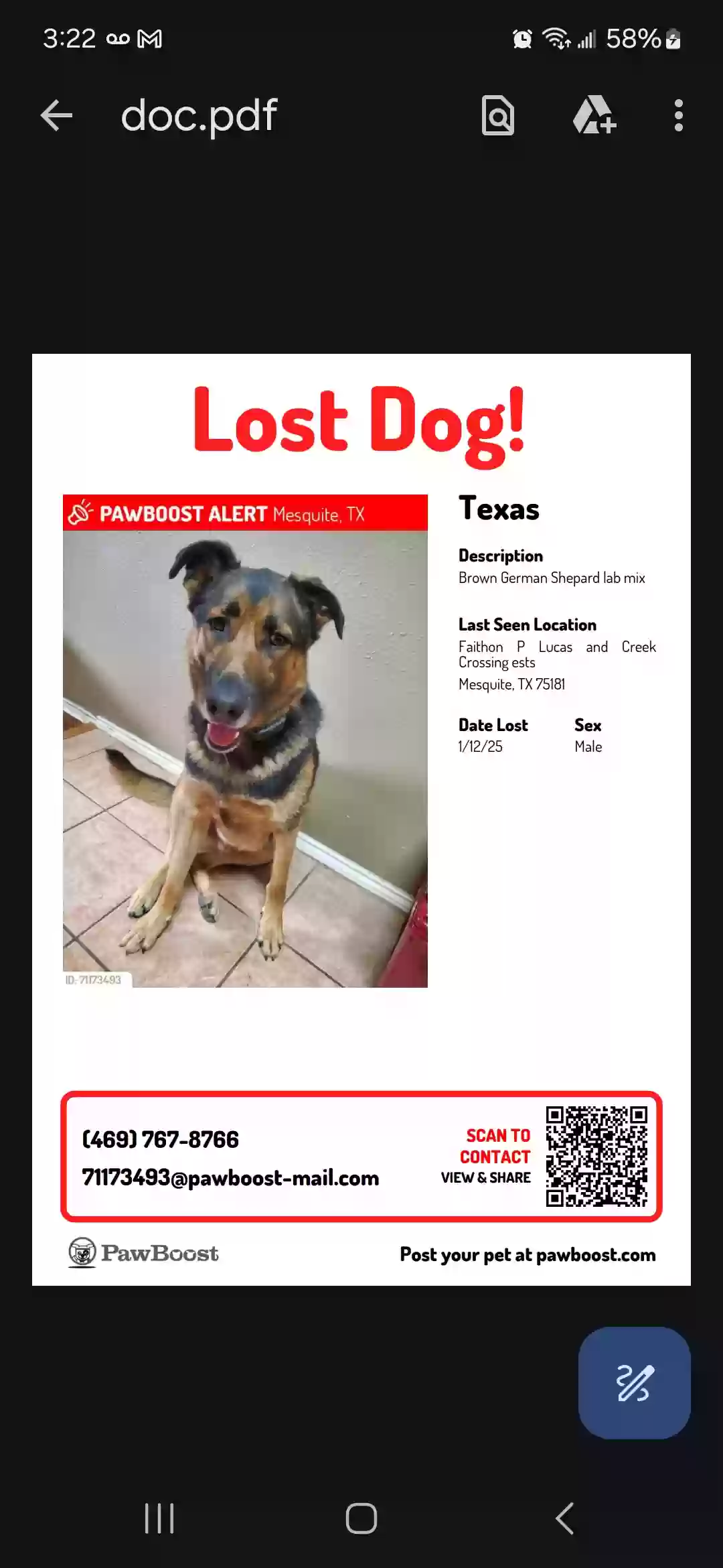 Lost dog in Mesquite, TX, 75181