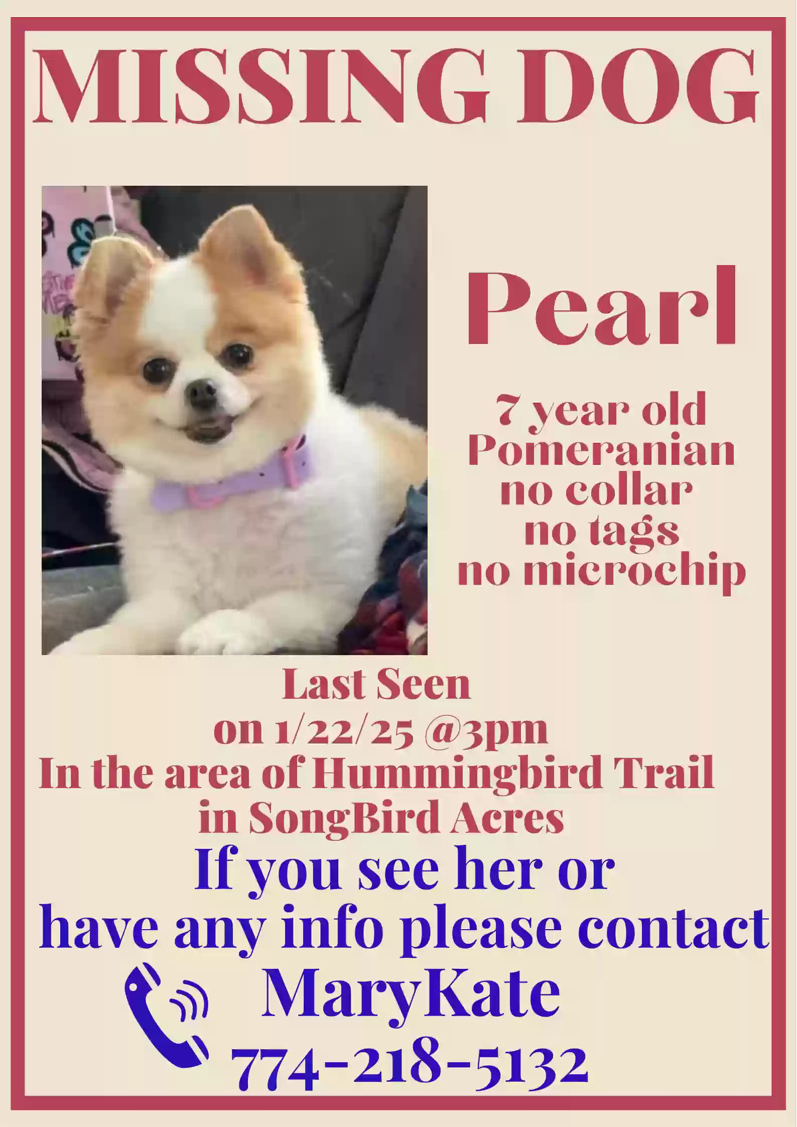 Lost dog in North Dartmouth, MA, 2747