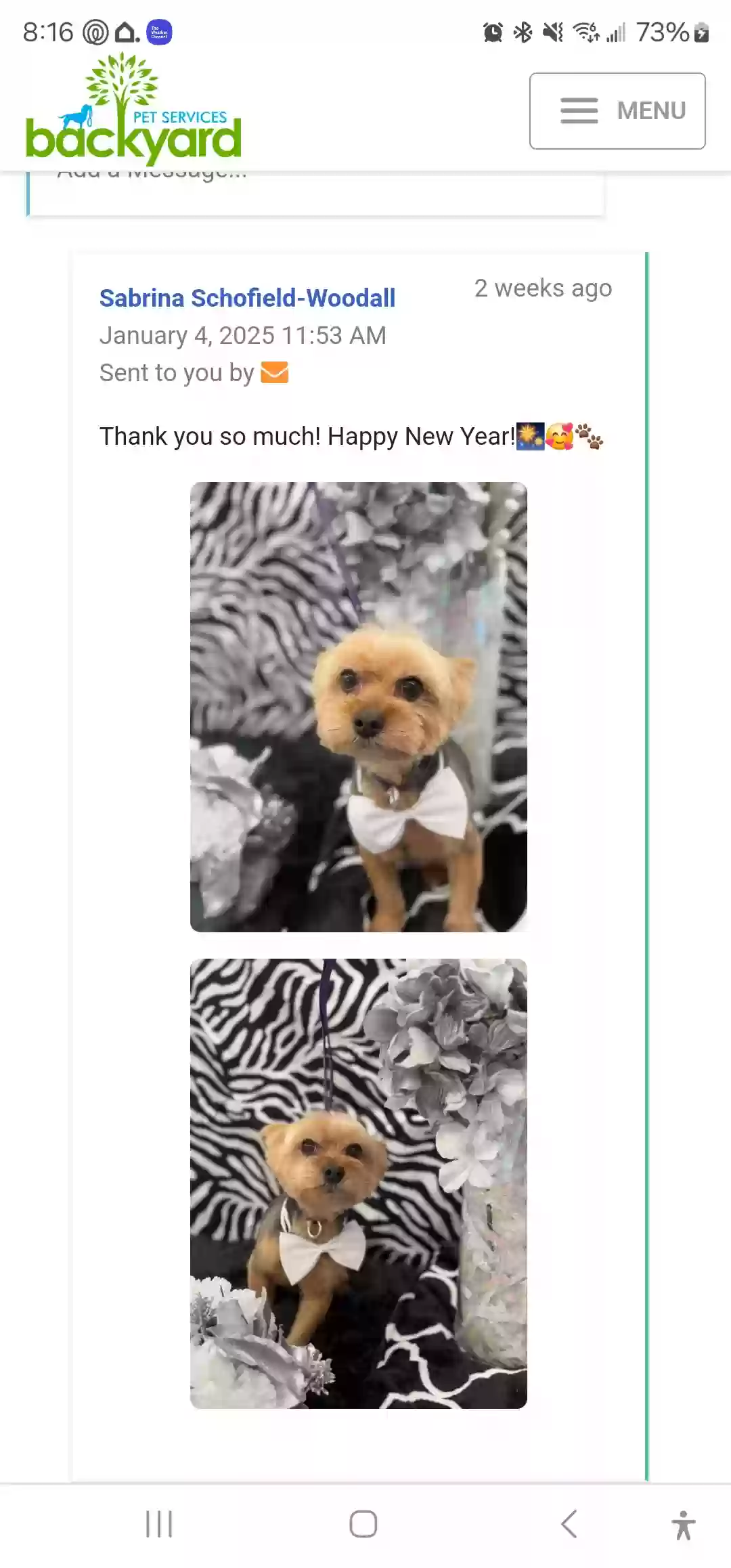 Lost dog in Frisco, TX, 75035