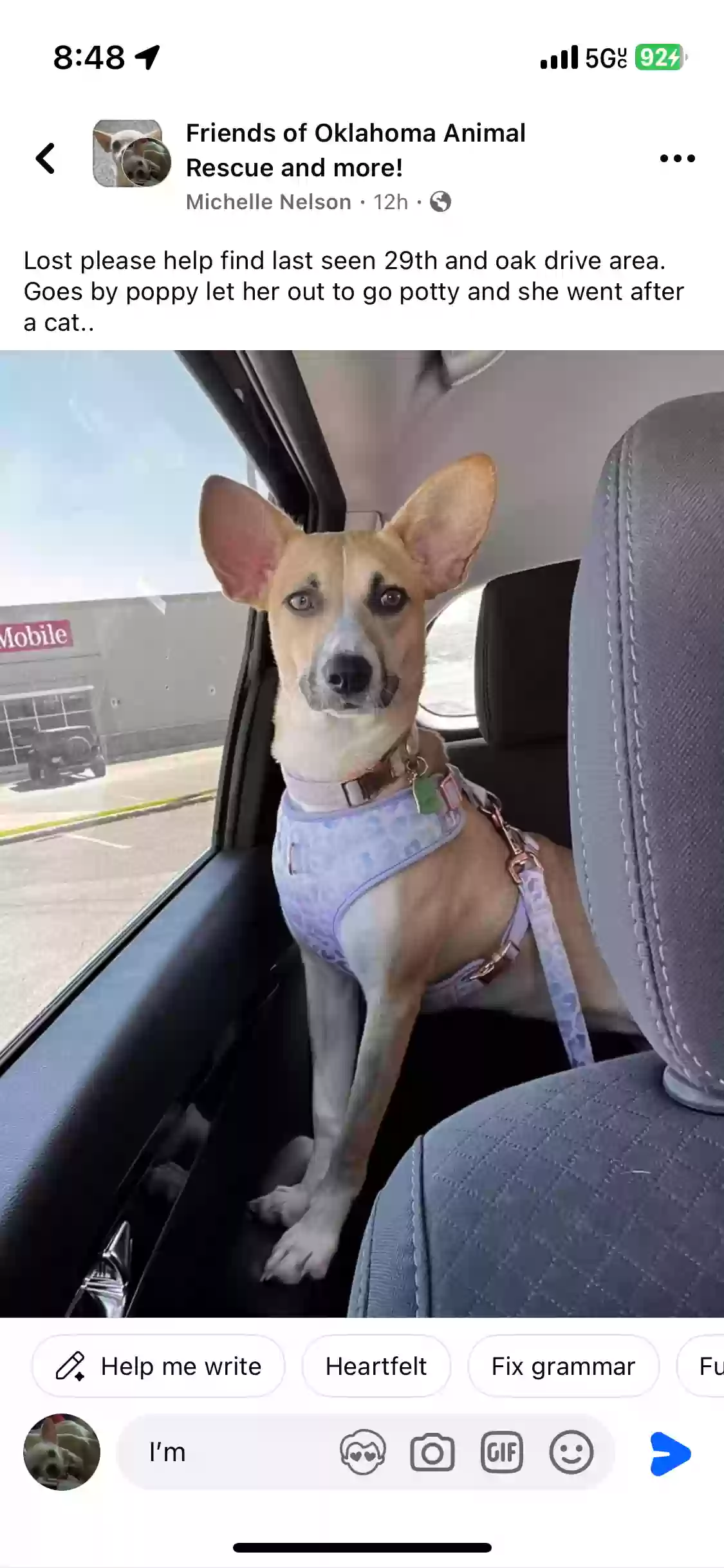 Lost dog in Oklahoma City, OK, 73130