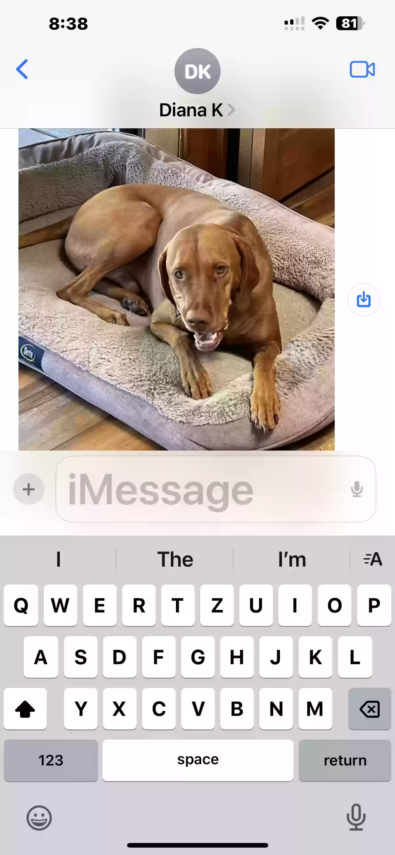 Lost dog in Cleveland, WI, 53015