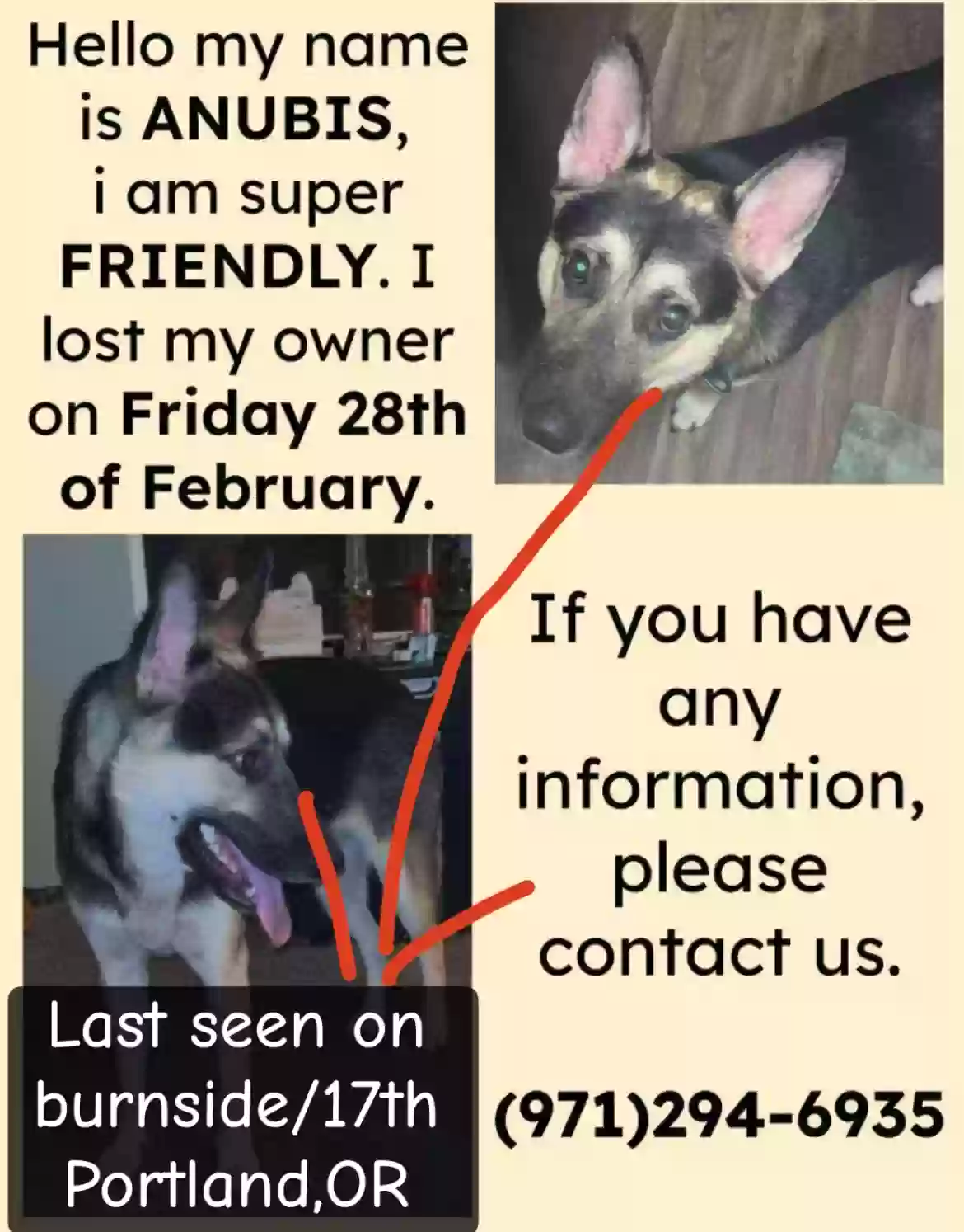Lost dog in Portland, OR, 97222