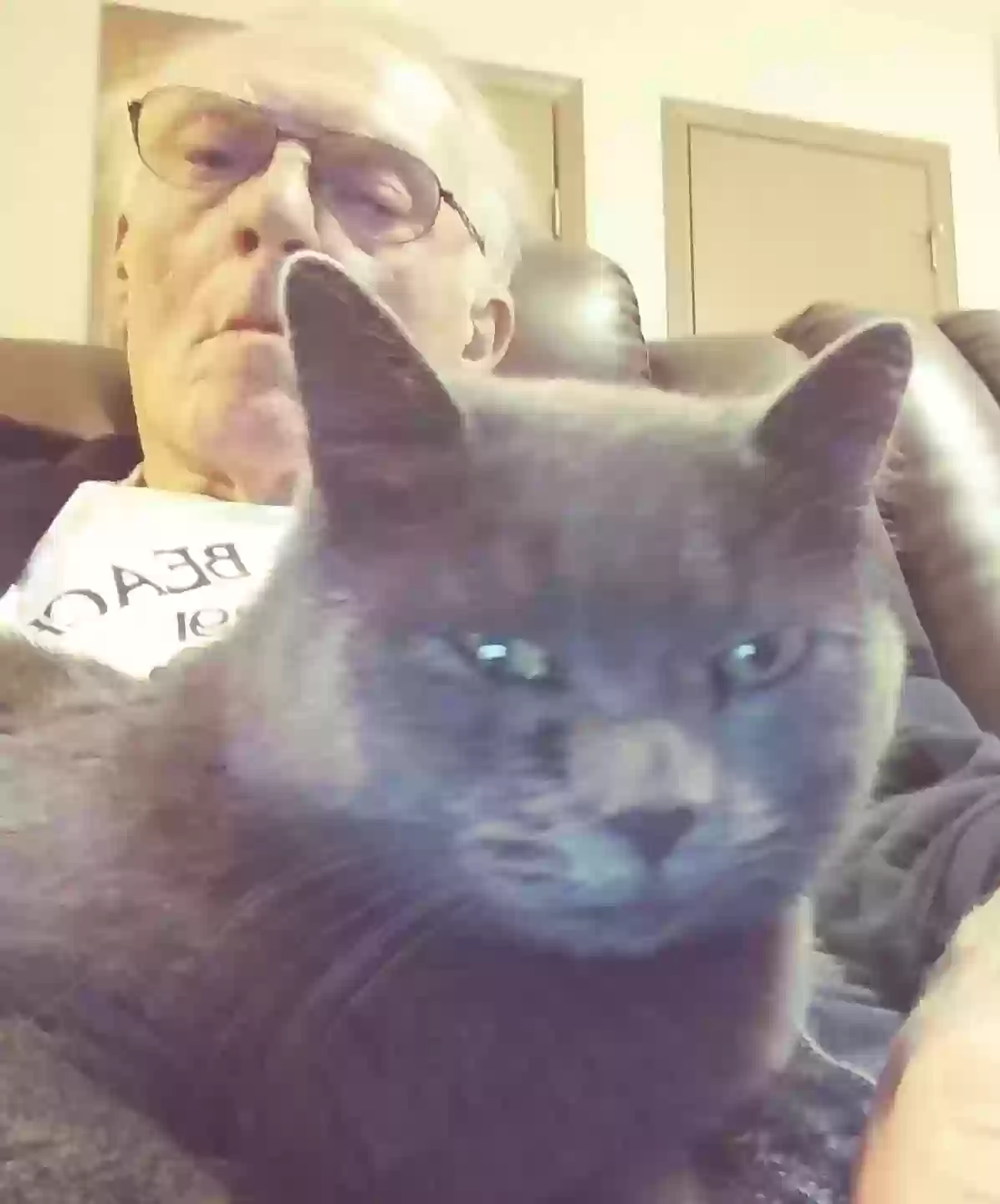 Lost cat in Raymore, MO, 64083