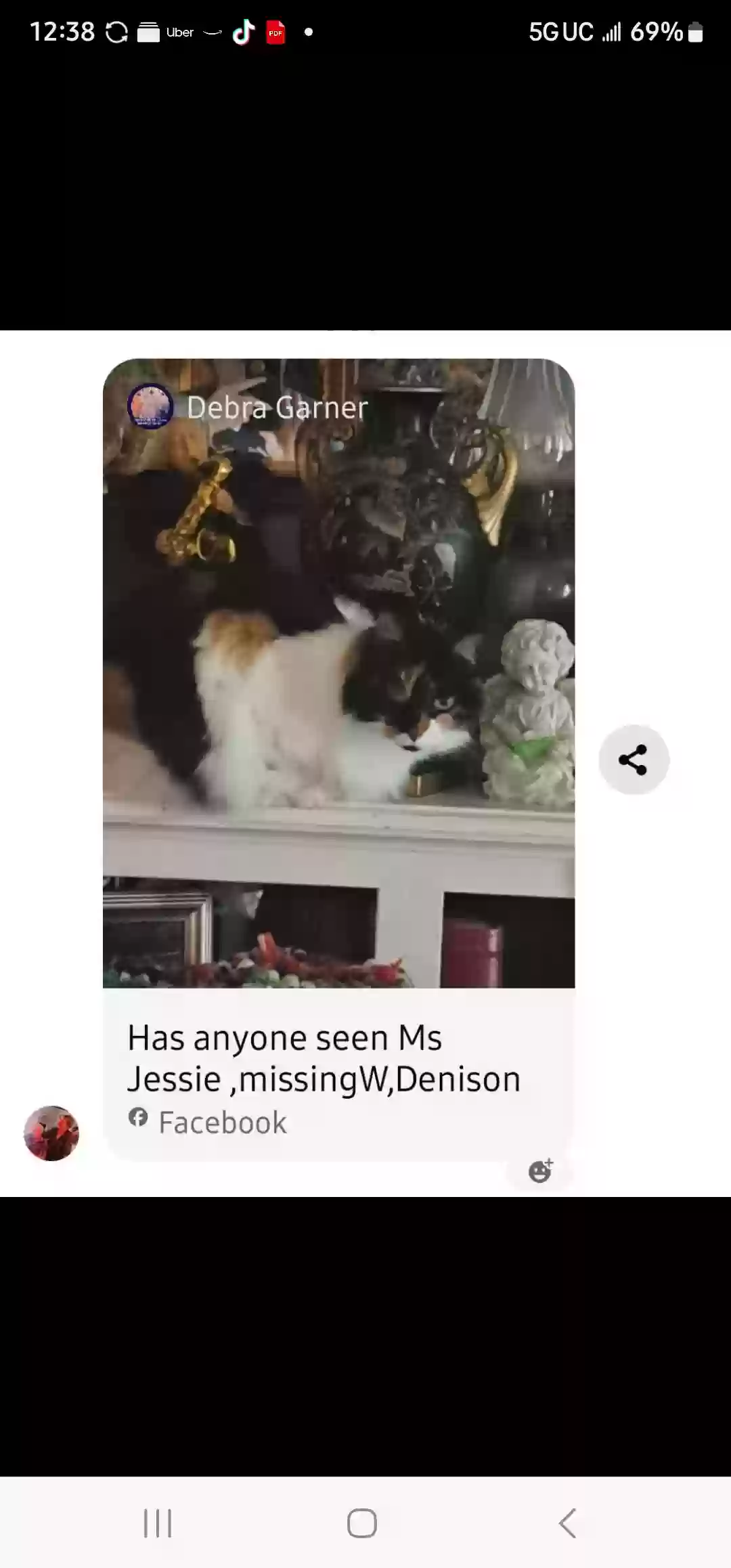 Lost cat in Waco, TX, 76706