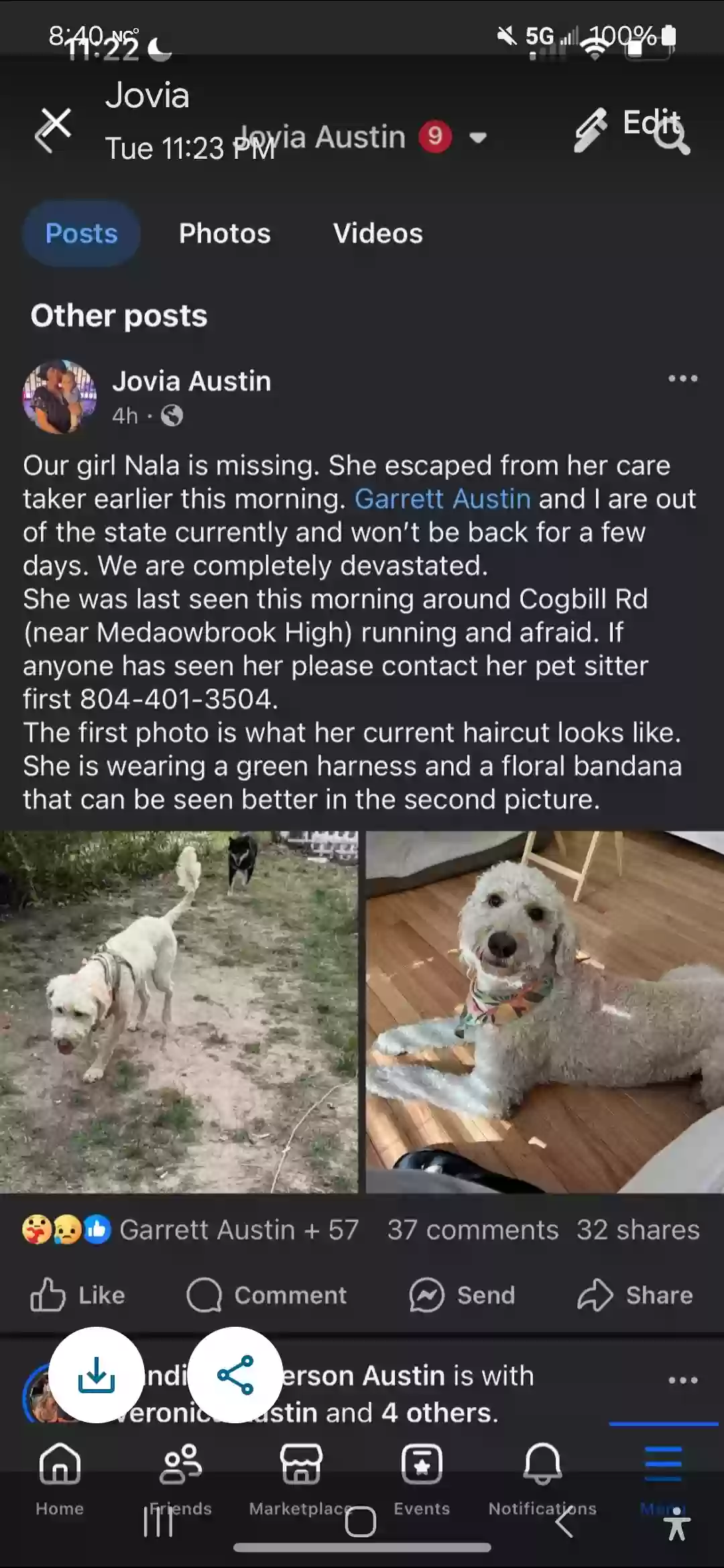 Lost dog in Richmond, VA, 23234