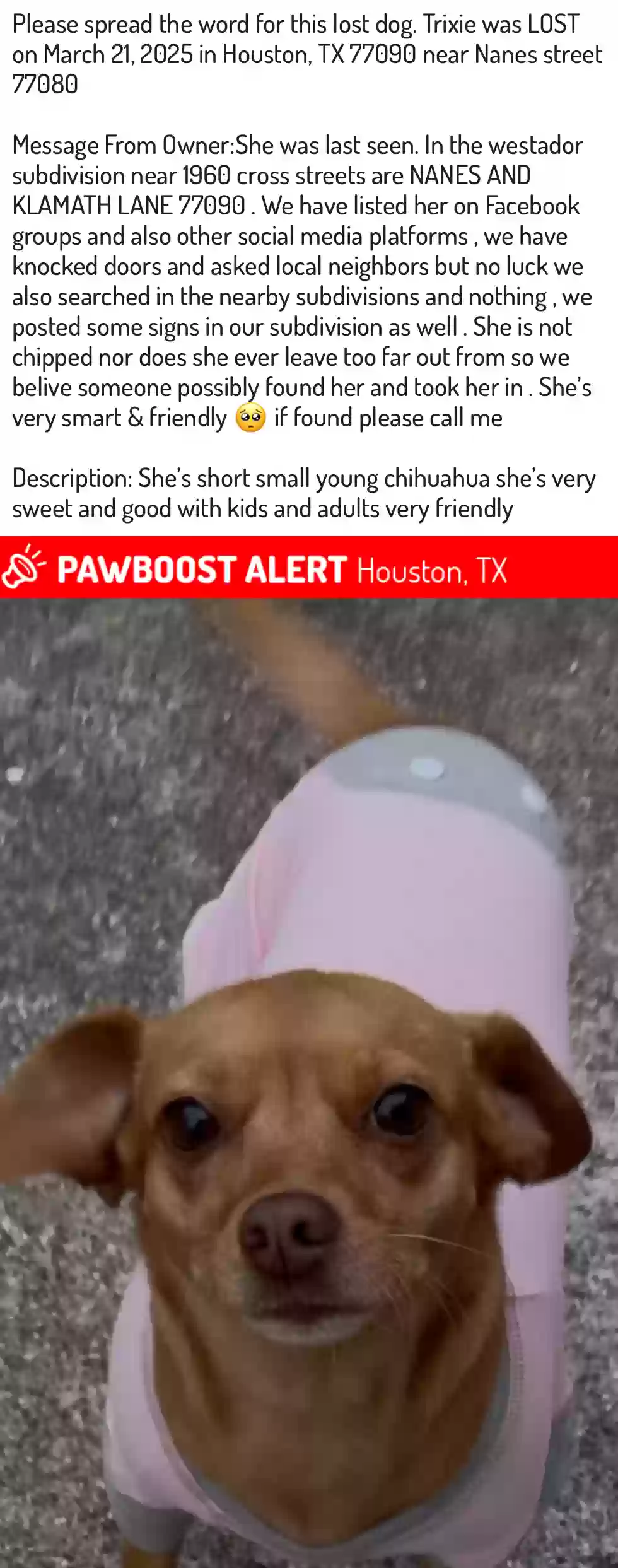Lost dog in Houston, TX, 77090