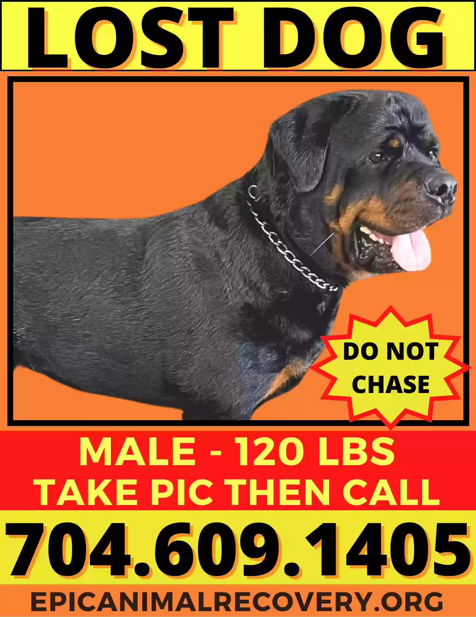 Lost dog in Gastonia, NC, 28052