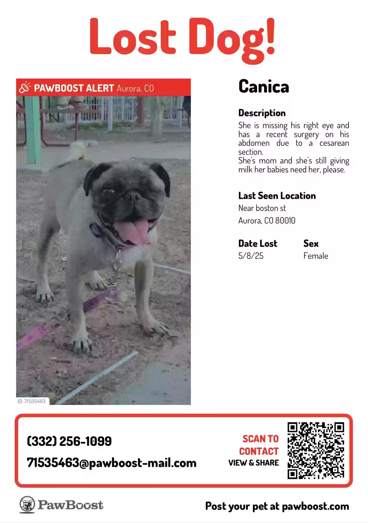 Lost dog in Aurora, CO, 80010