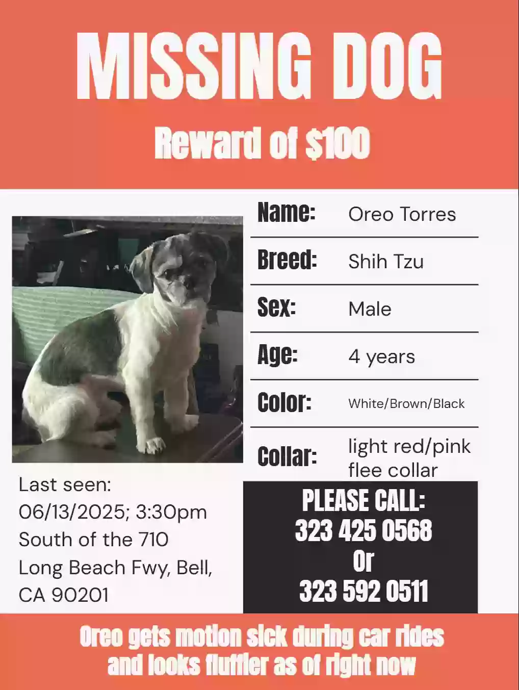 Lost dog in Bell Gardens, CA, 90201