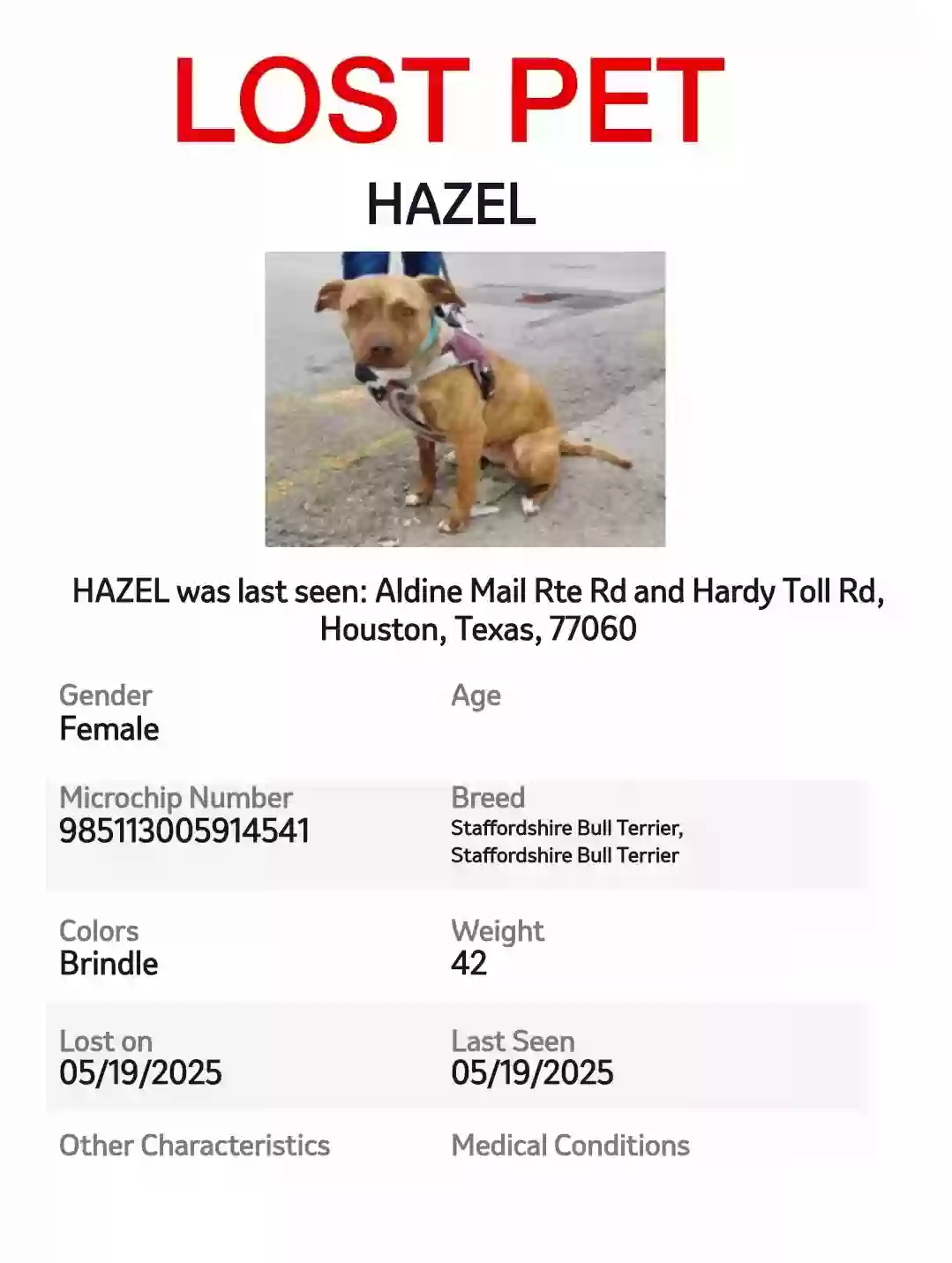 Lost dog in Houston, TX, 77060